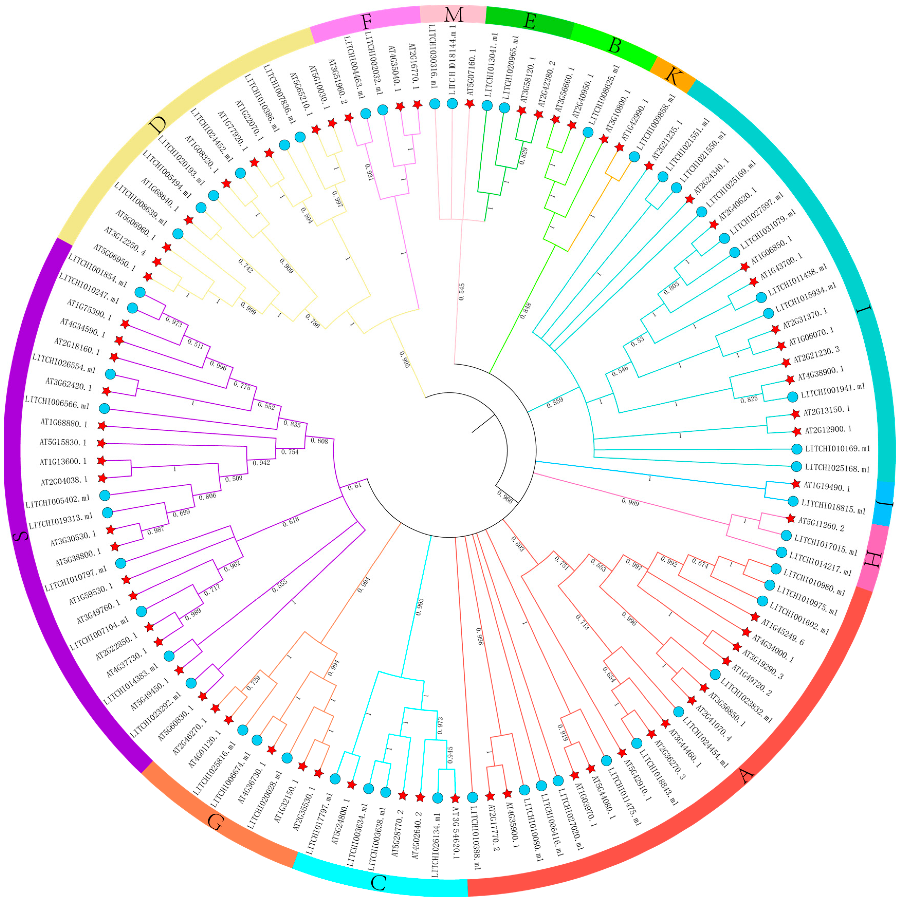 Plants 14 01453 g001