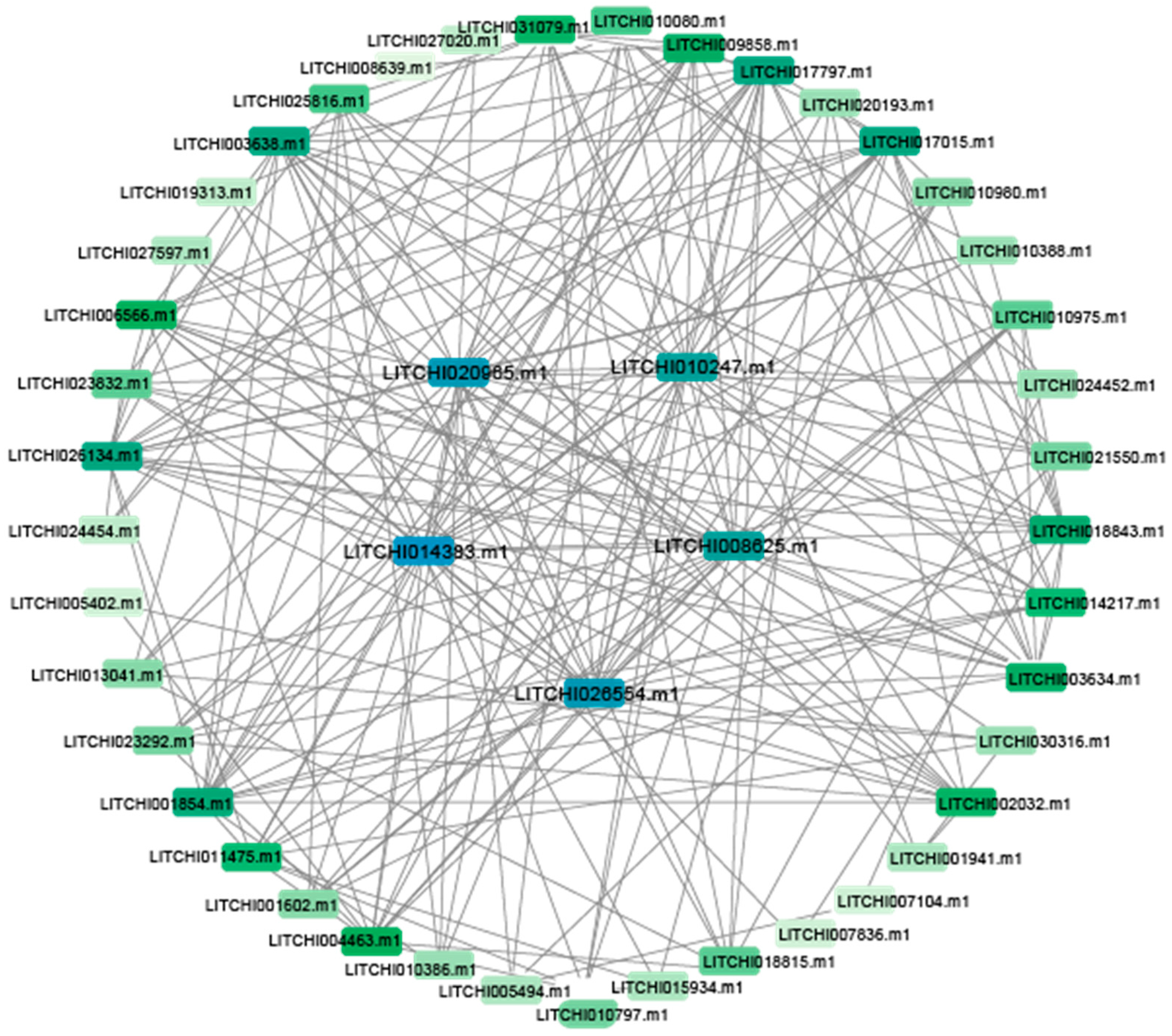 Plants 14 01453 g004