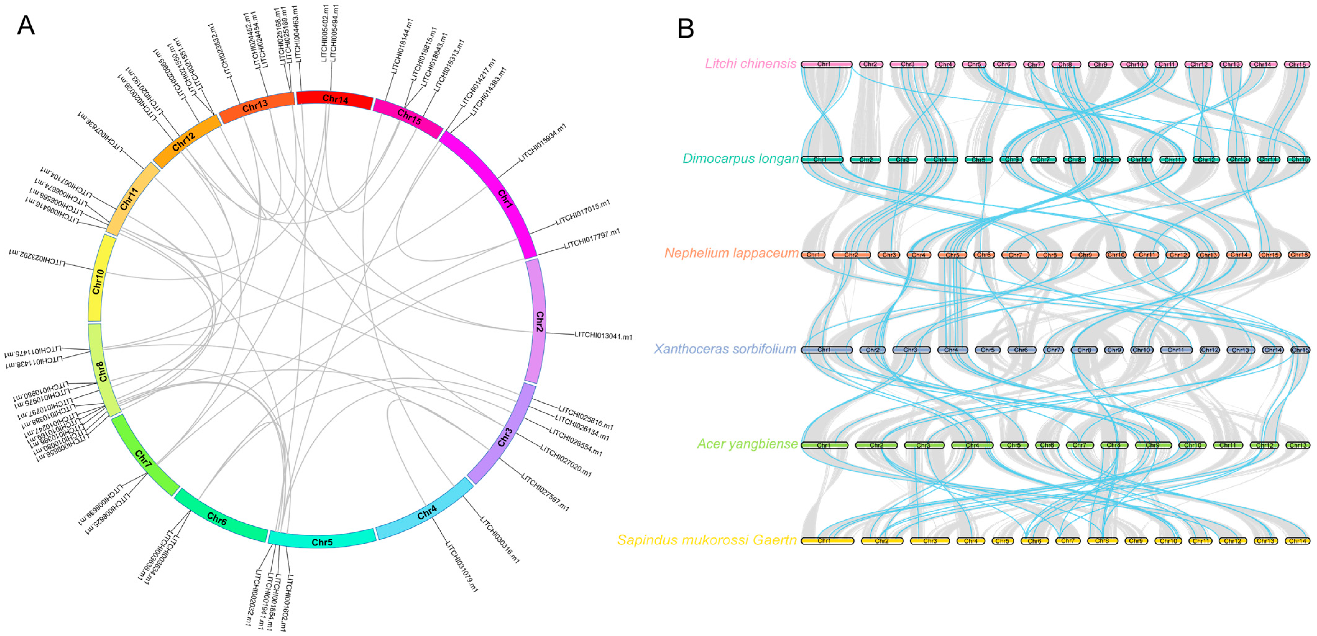 Plants 14 01453 g005