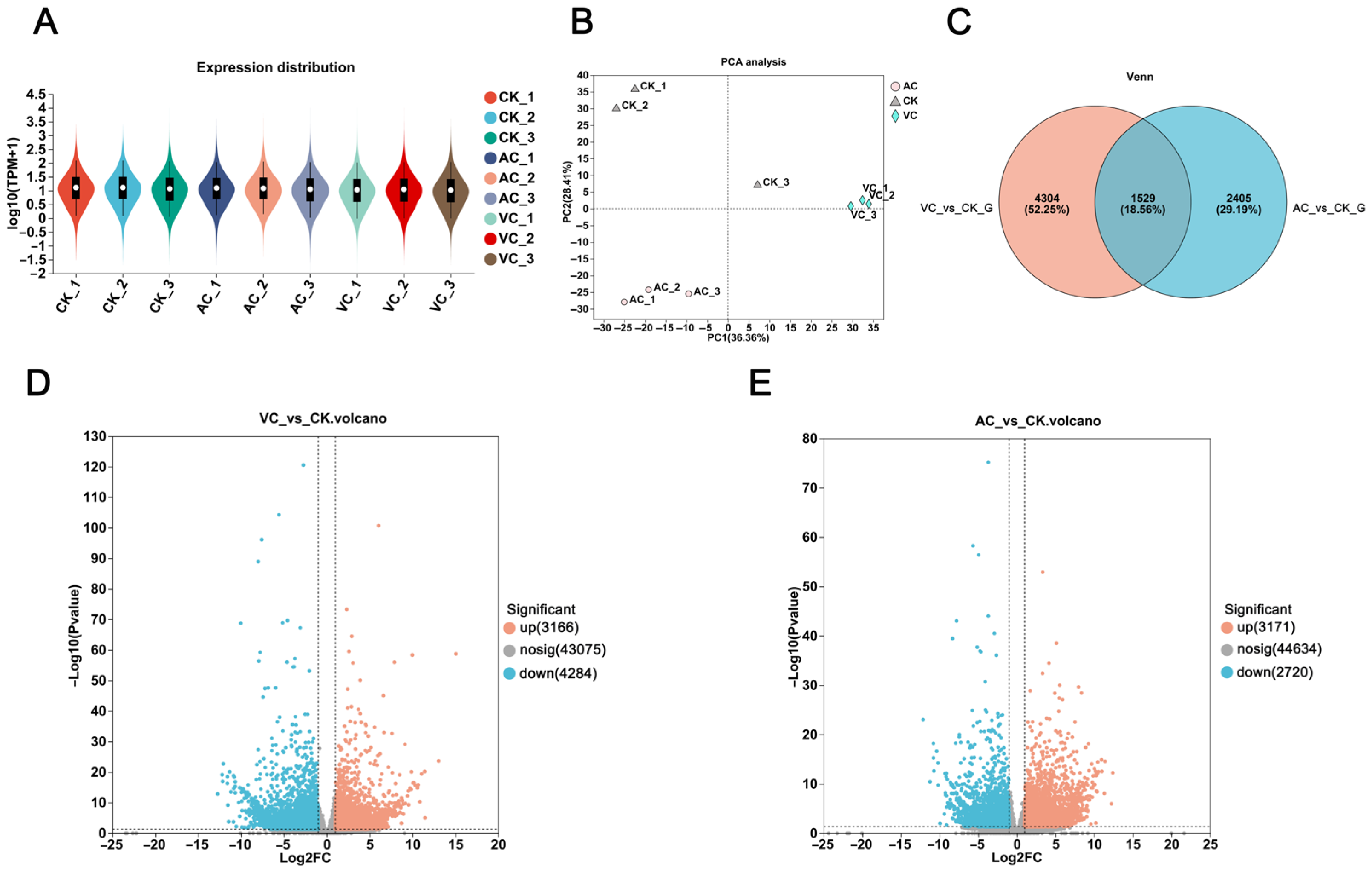 Plants 14 01454 g001