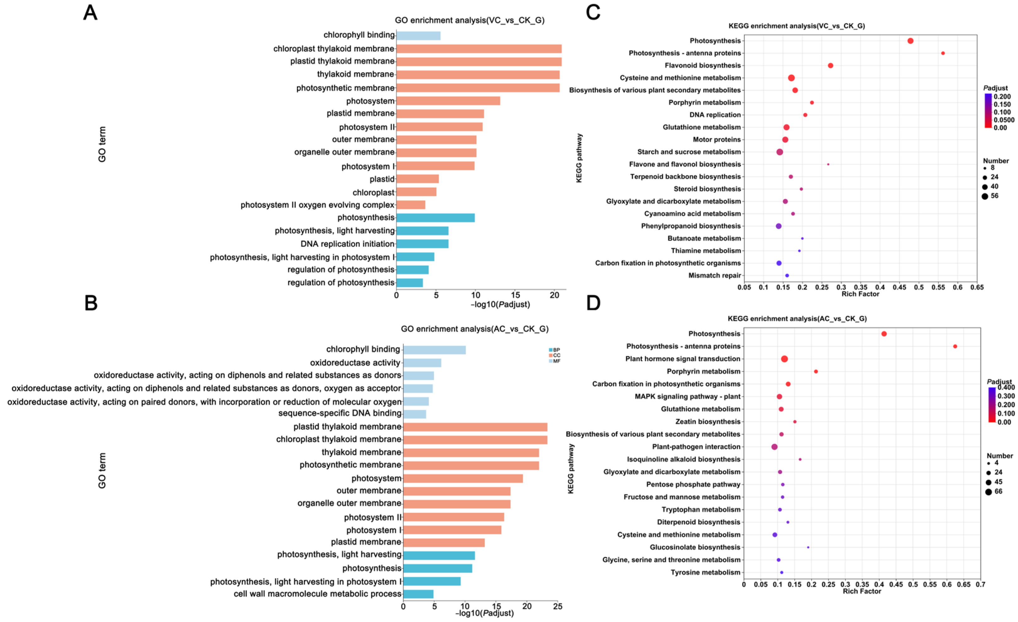 Plants 14 01454 g002