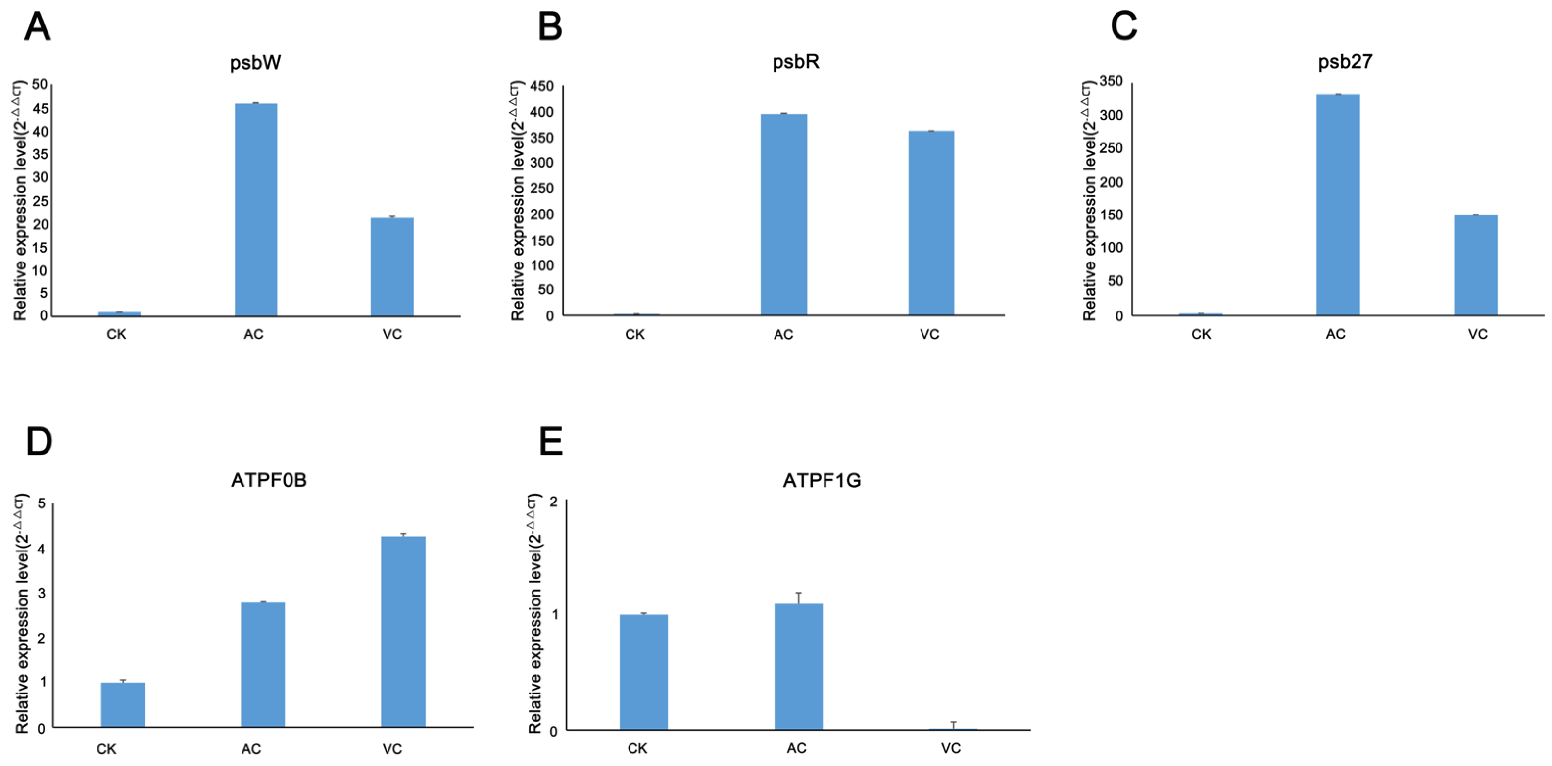 Plants 14 01454 g004