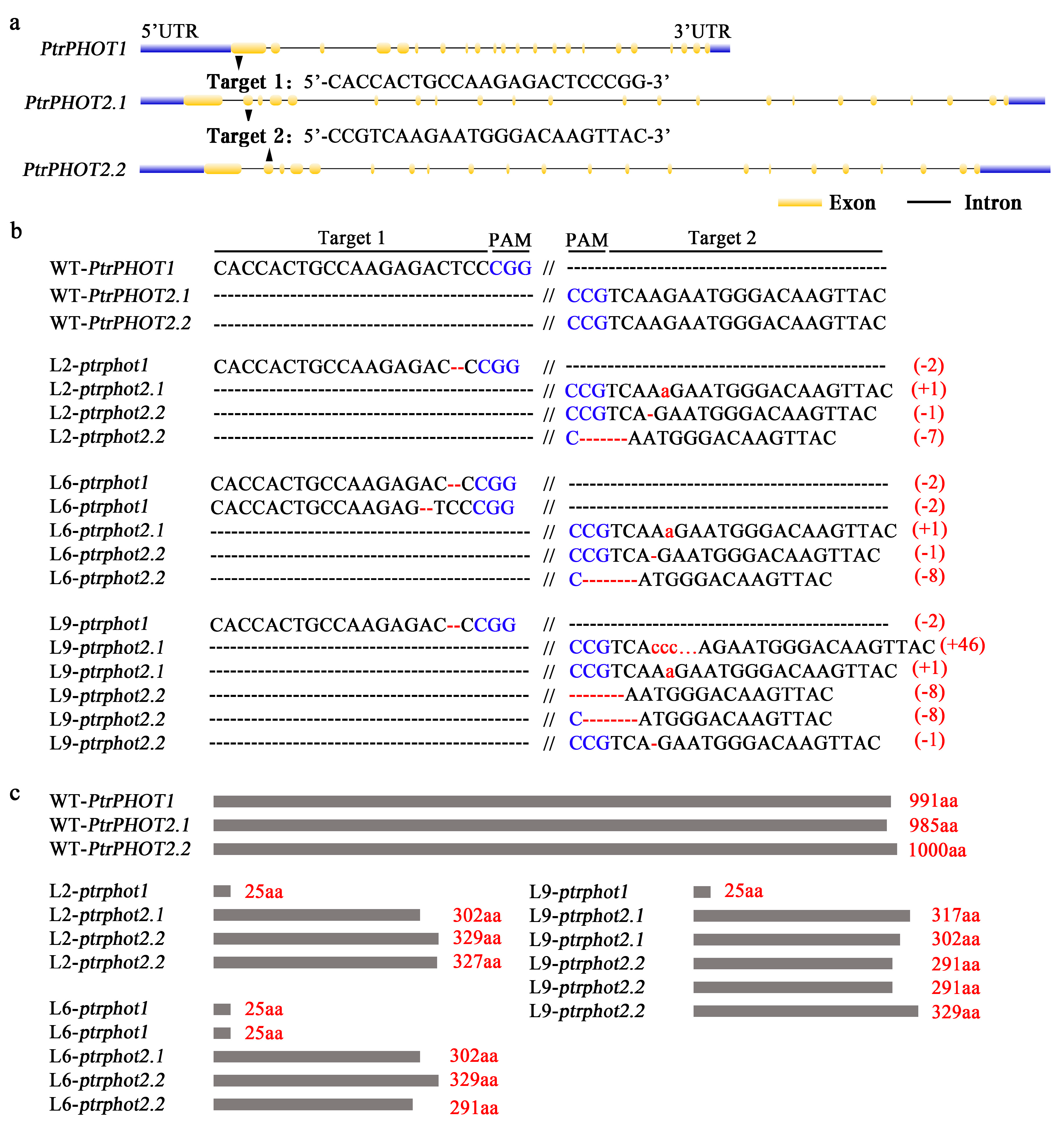 Plants 14 01455 g002