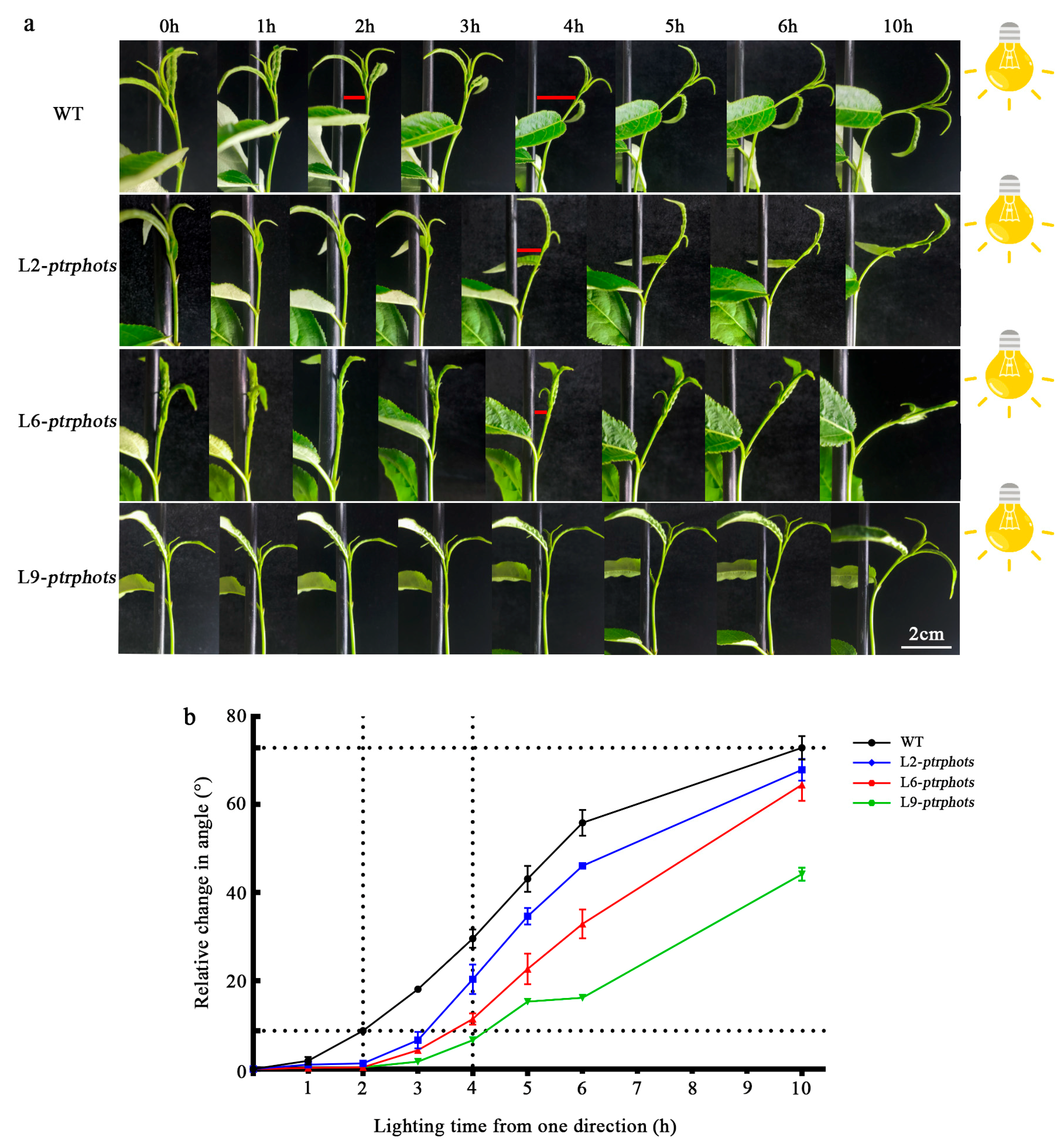 Plants 14 01455 g004