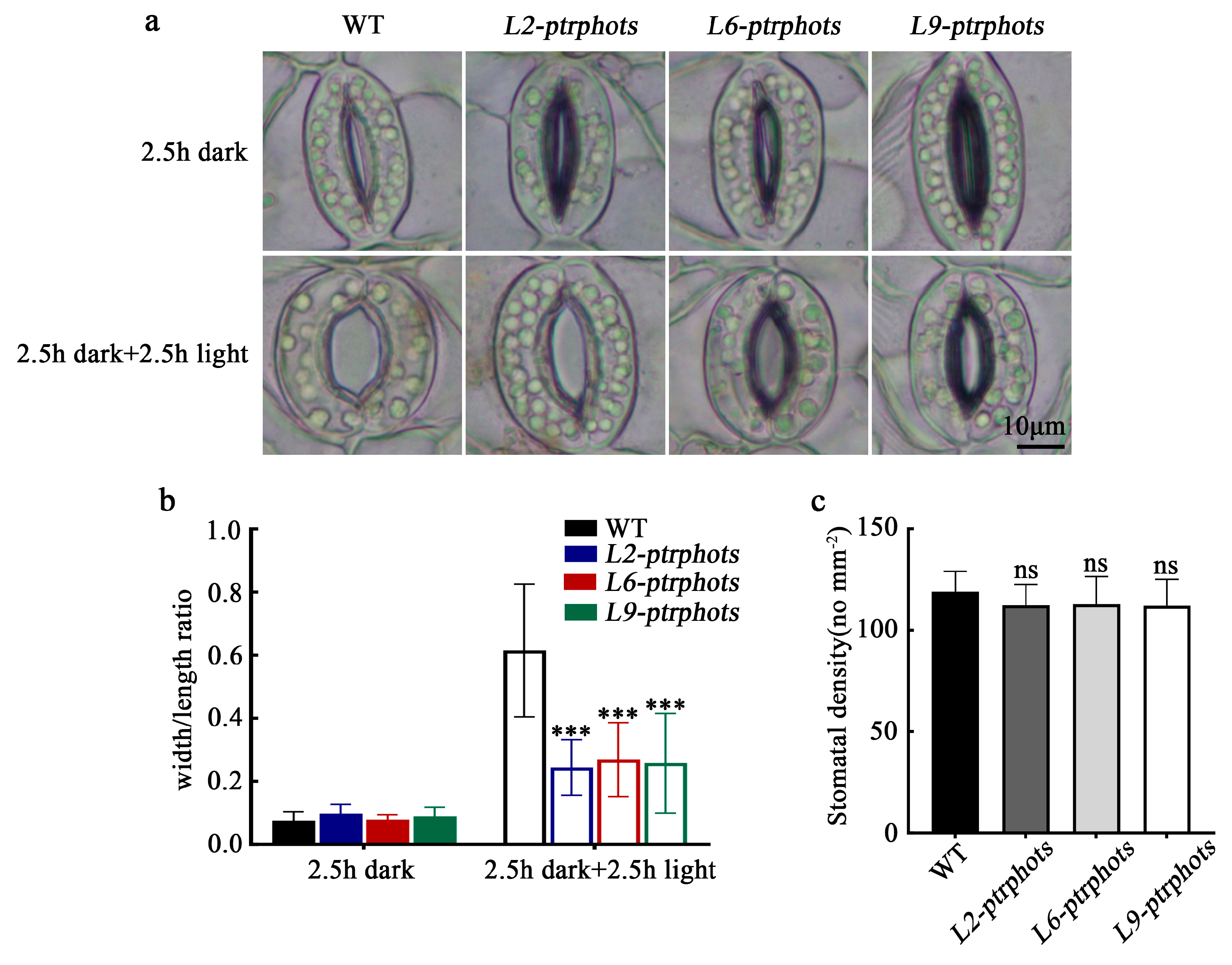 Plants 14 01455 g005