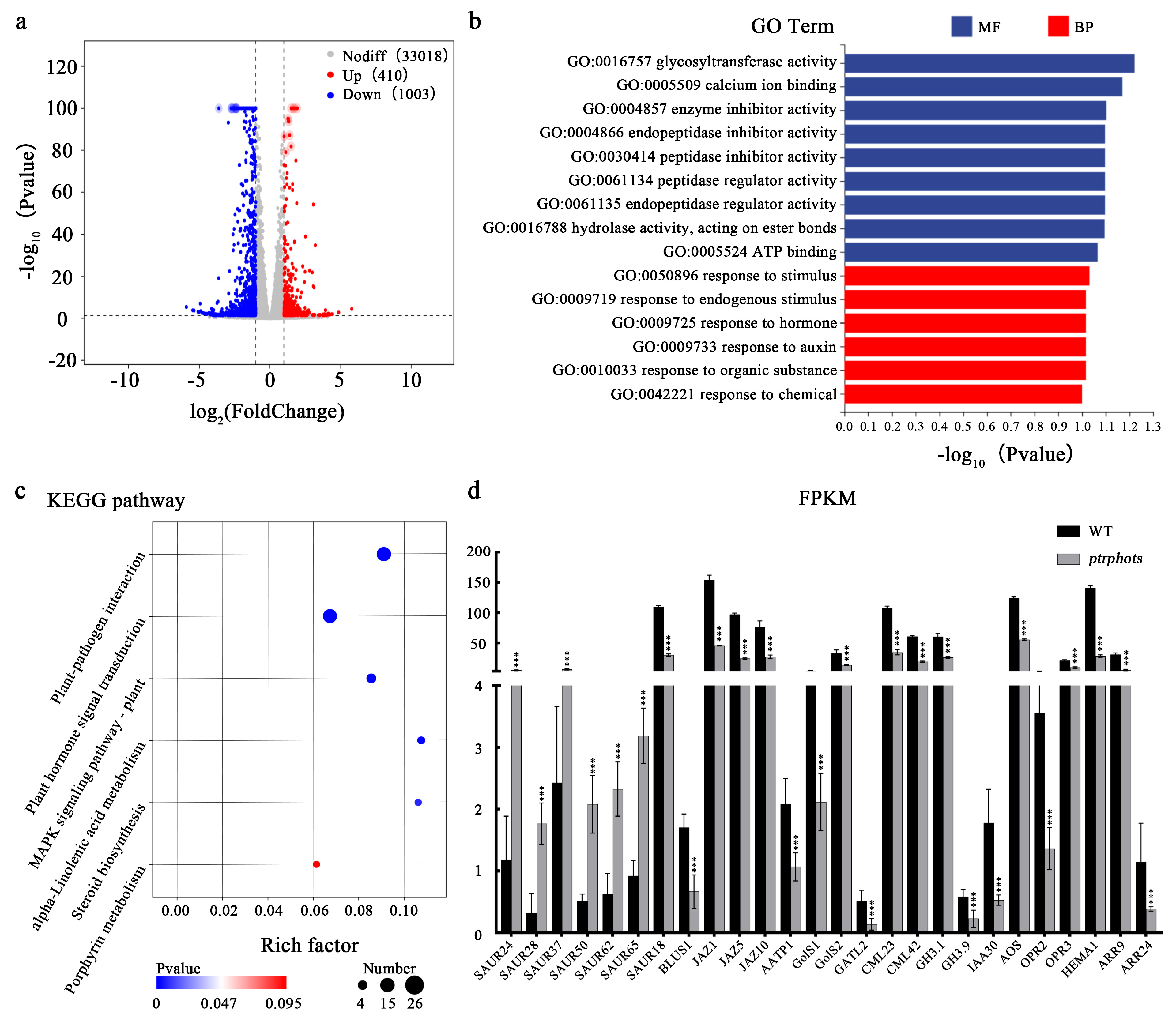 Plants 14 01455 g006