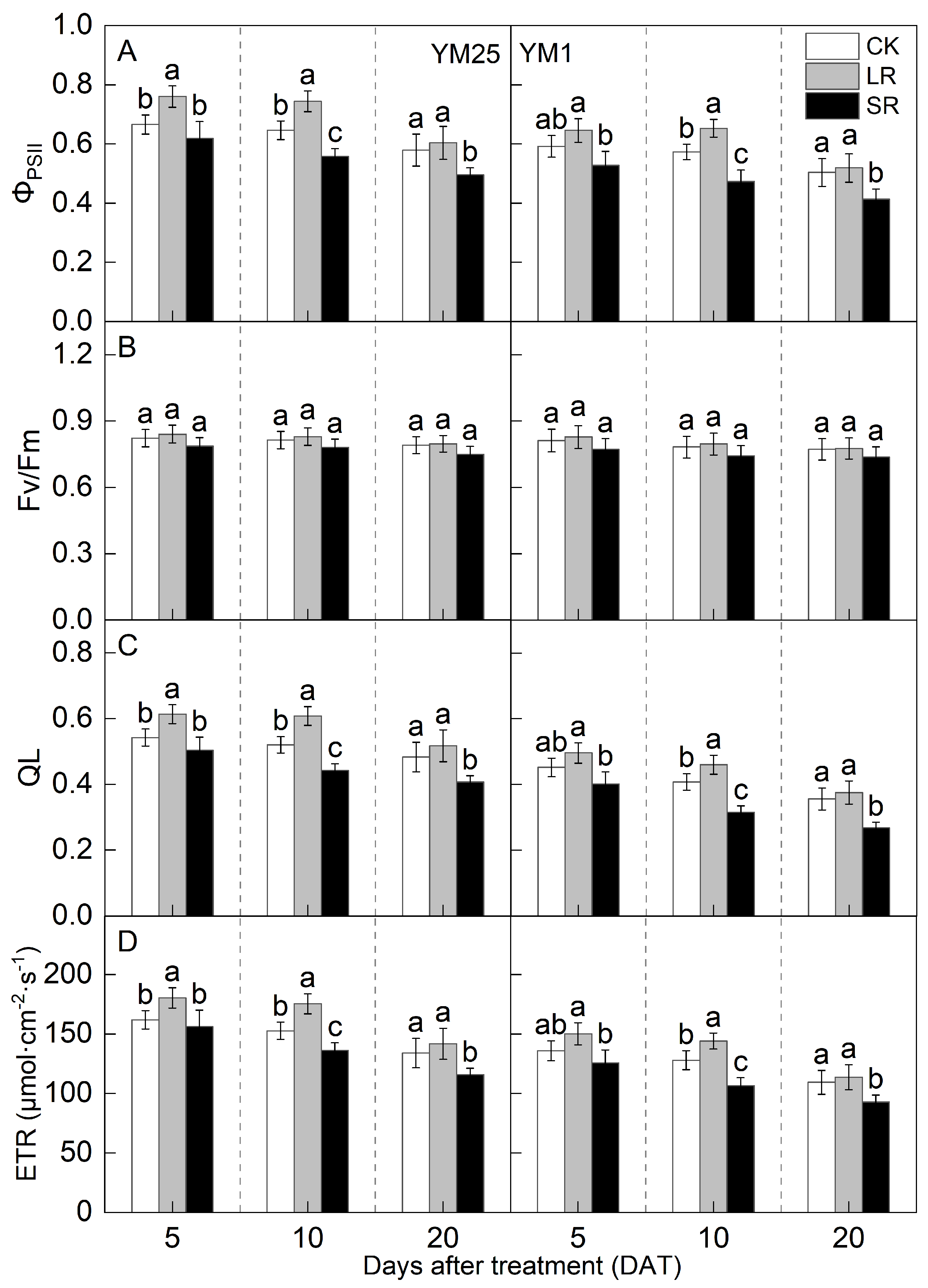 Plants 14 01456 g003
