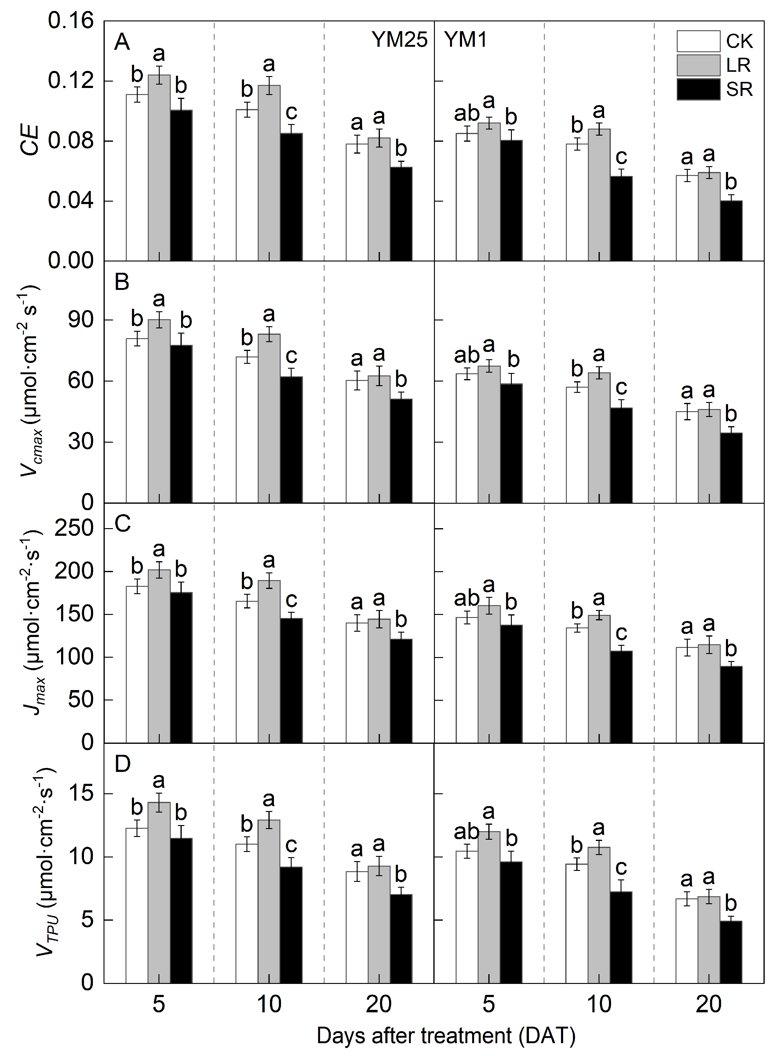 Plants 14 01456 g004