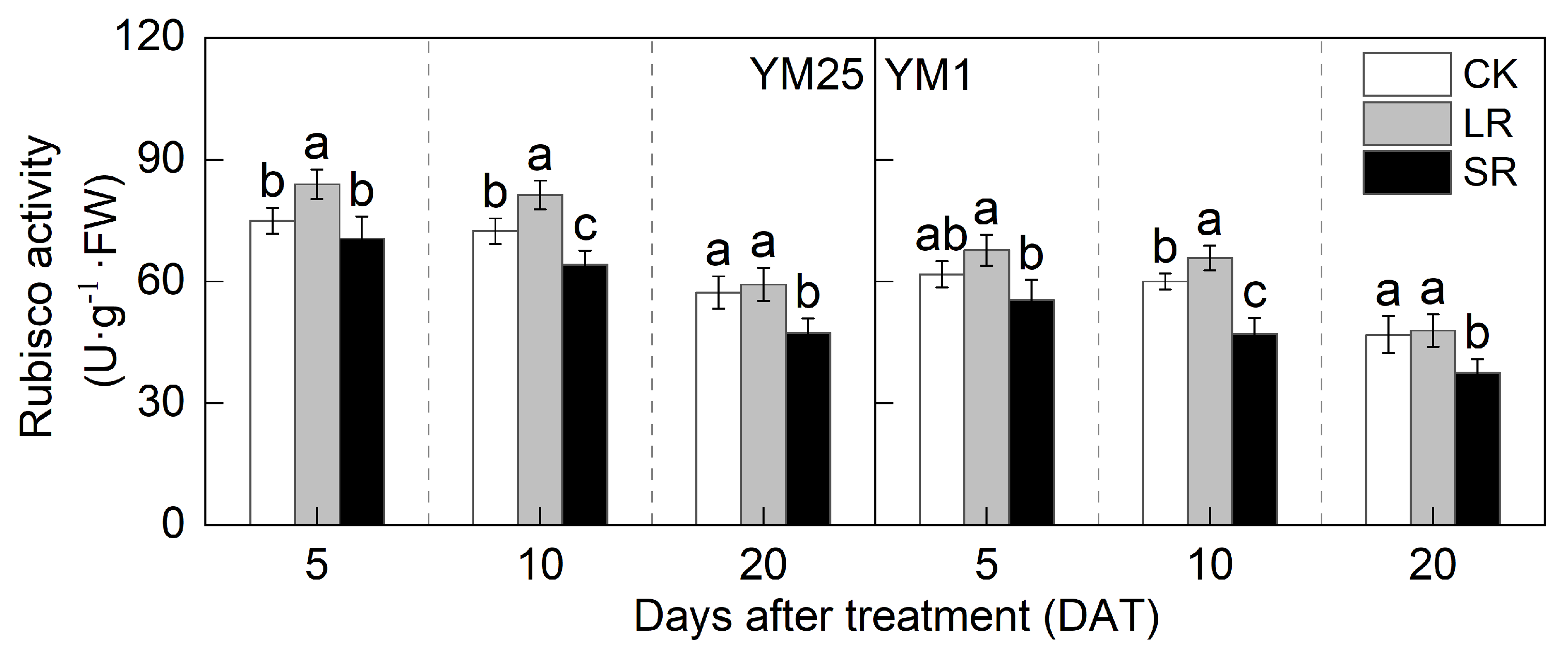 Plants 14 01456 g005