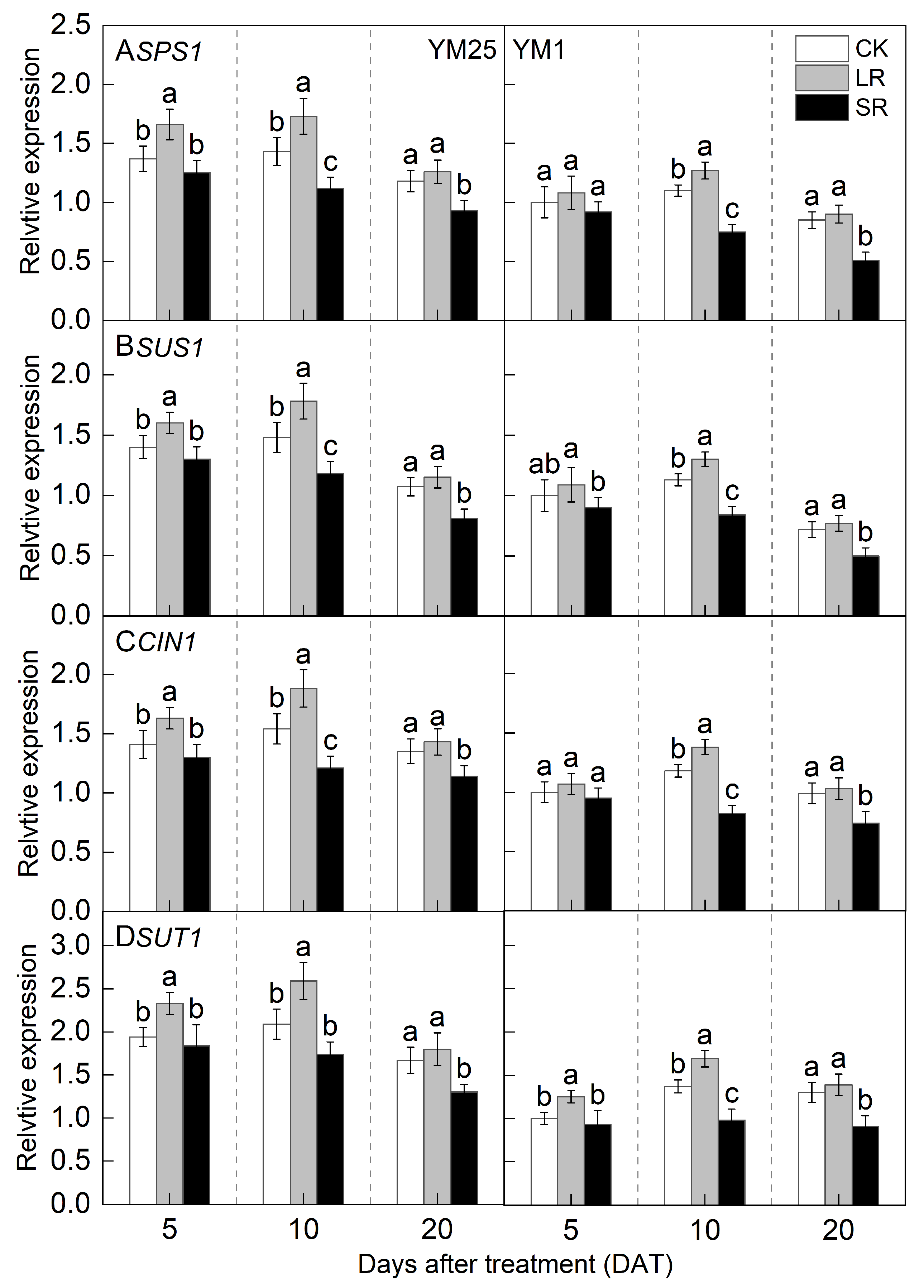 Plants 14 01456 g008