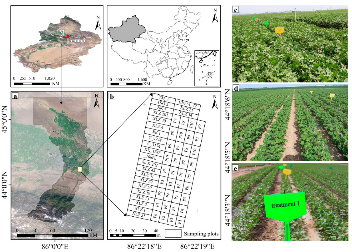 Plants 14 01457 g001