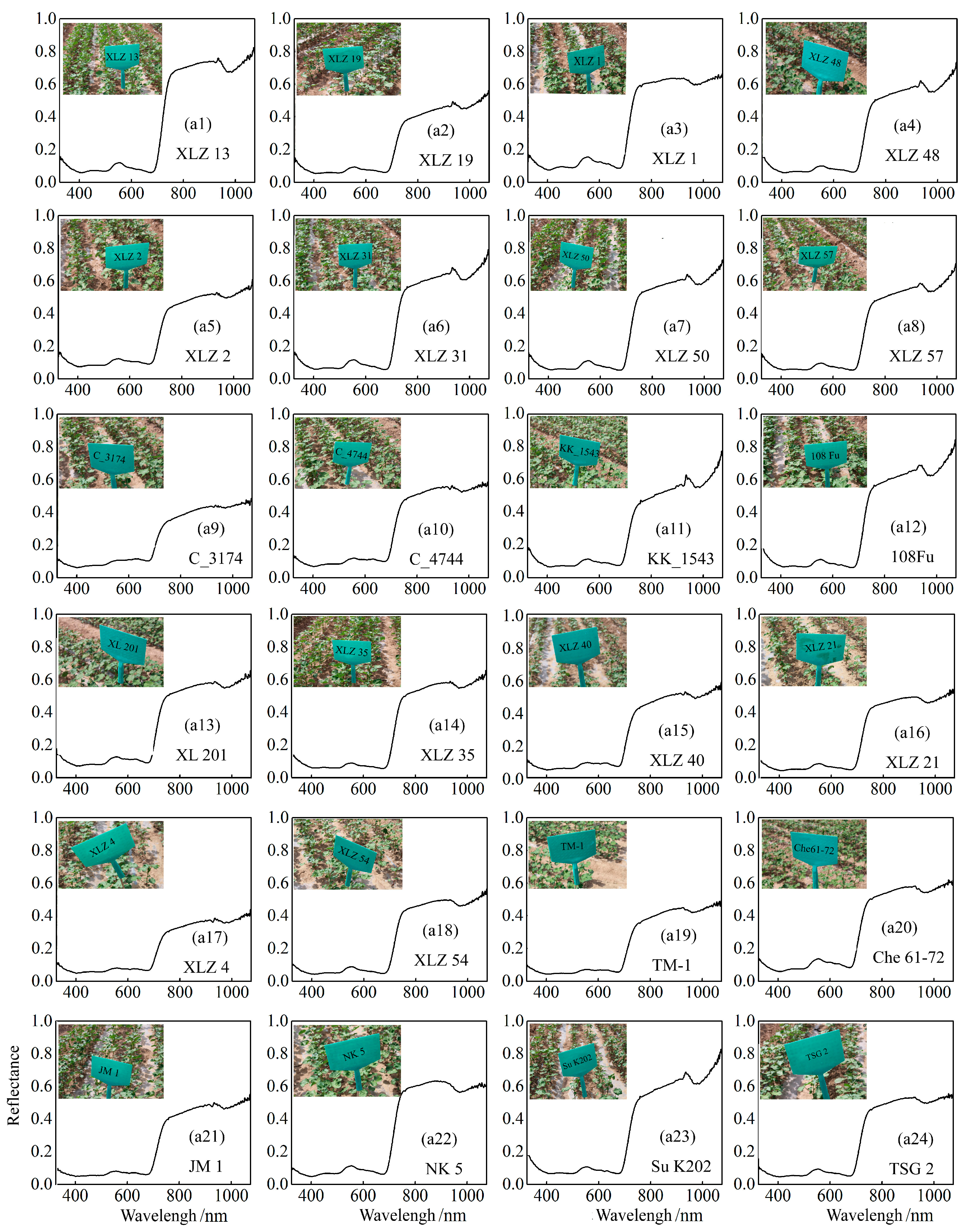 Plants 14 01457 g002