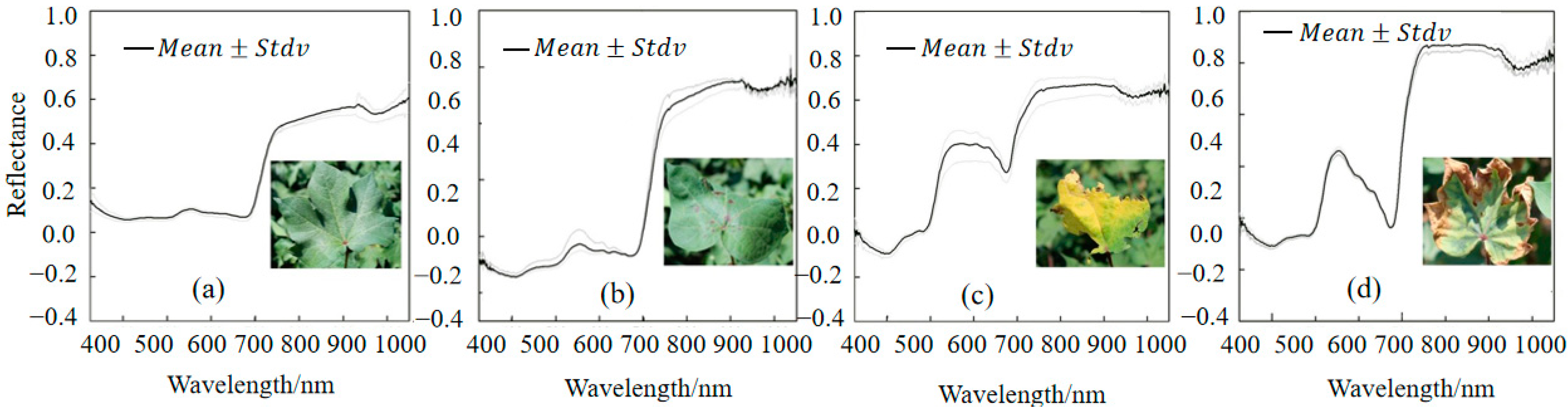 Plants 14 01457 g005