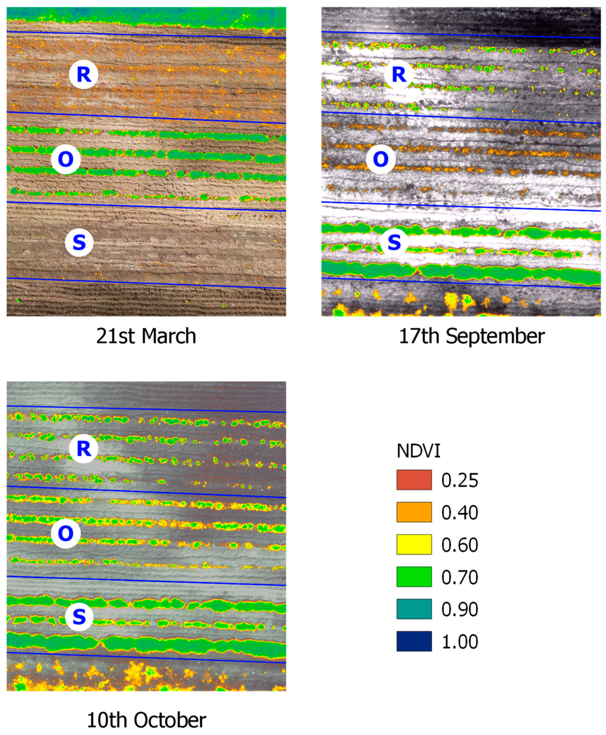Plants 14 01462 g001