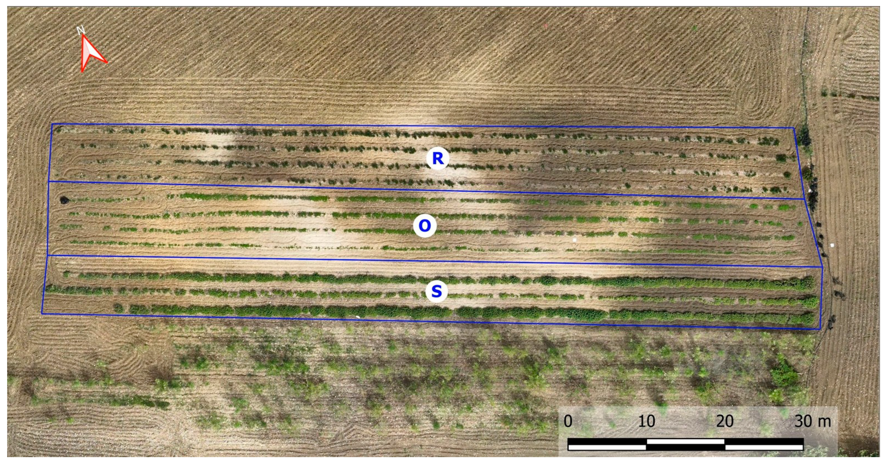 Plants 14 01462 g004