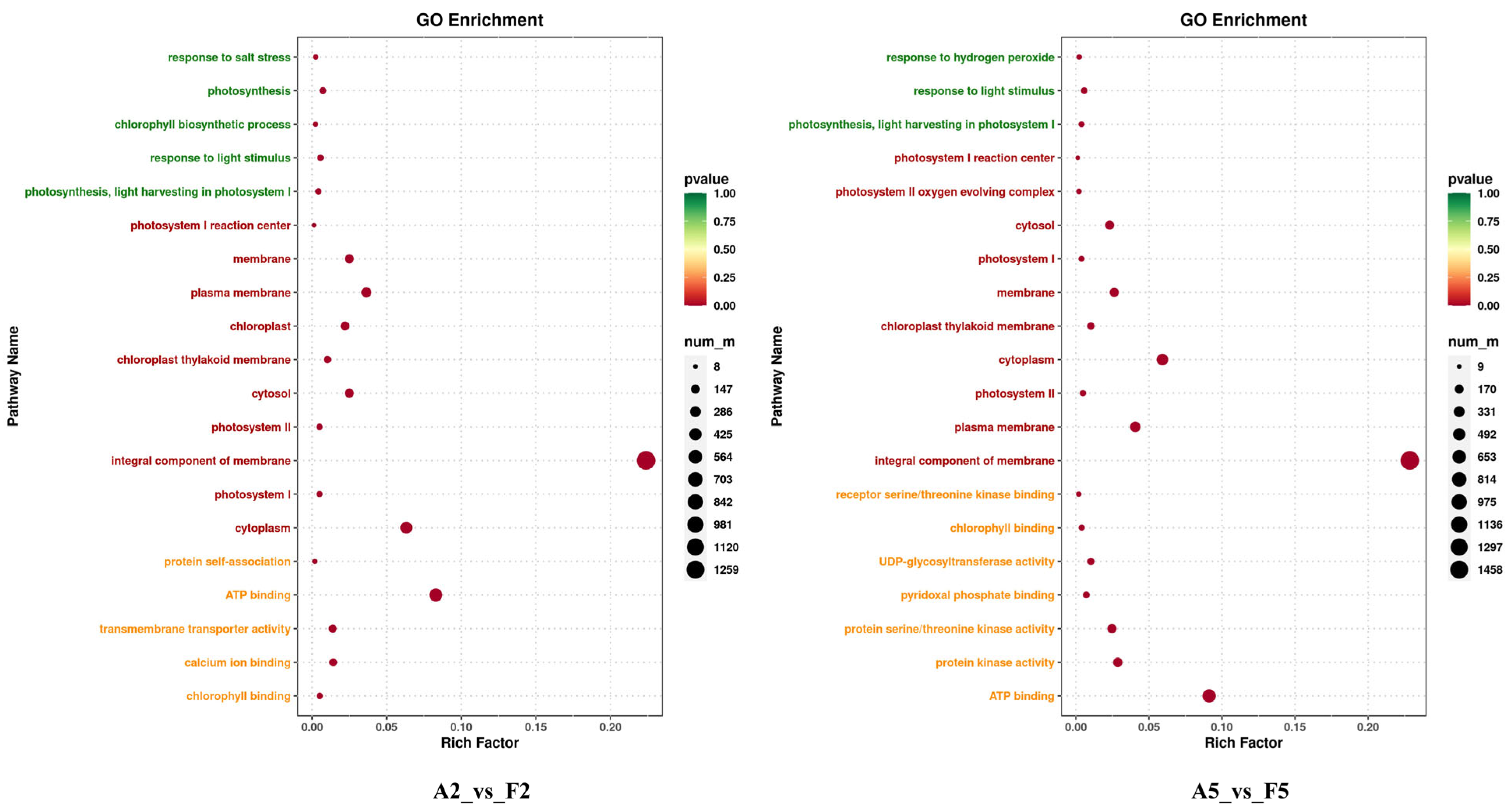 Plants 14 01471 g006