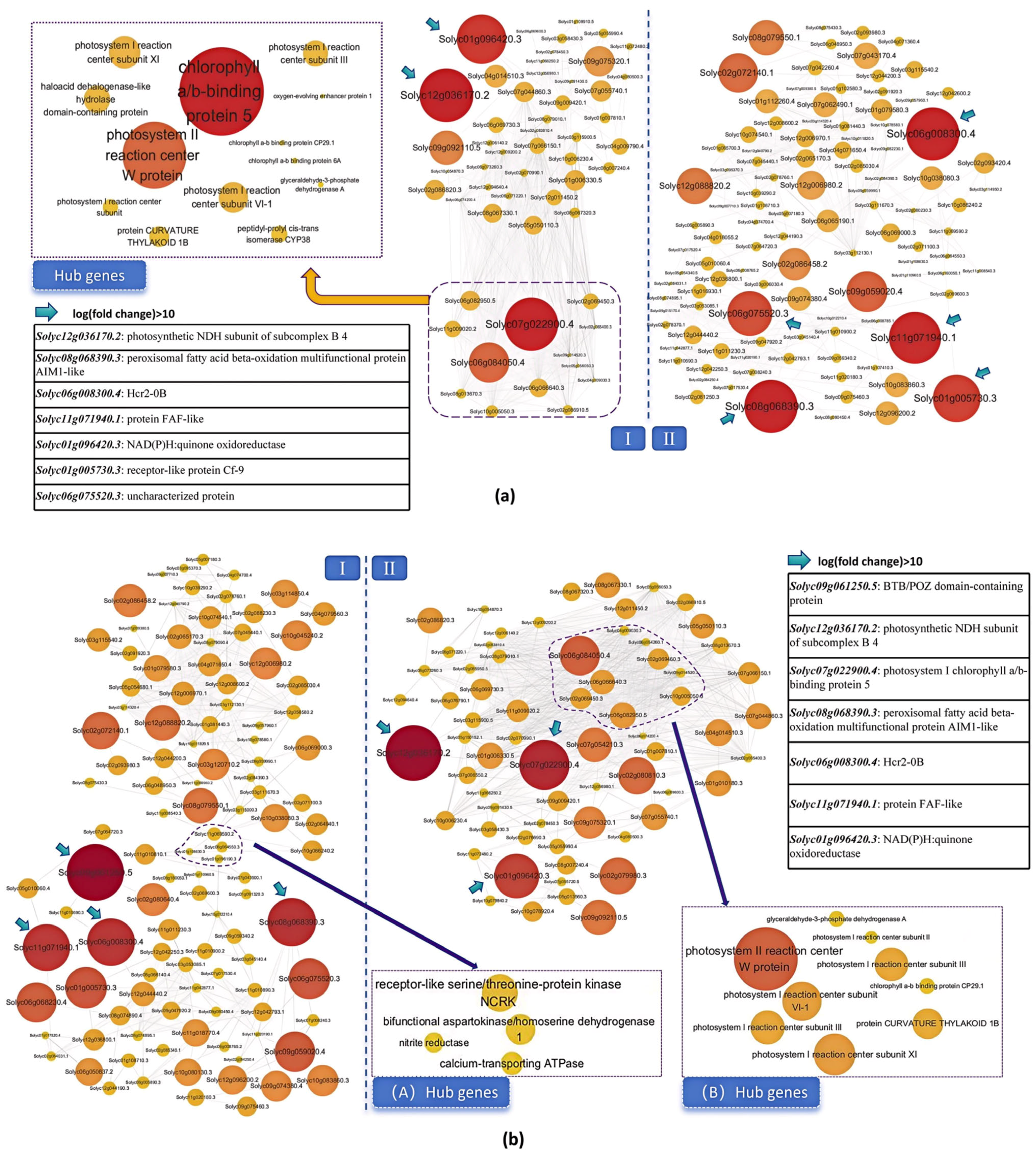 Plants 14 01471 g009