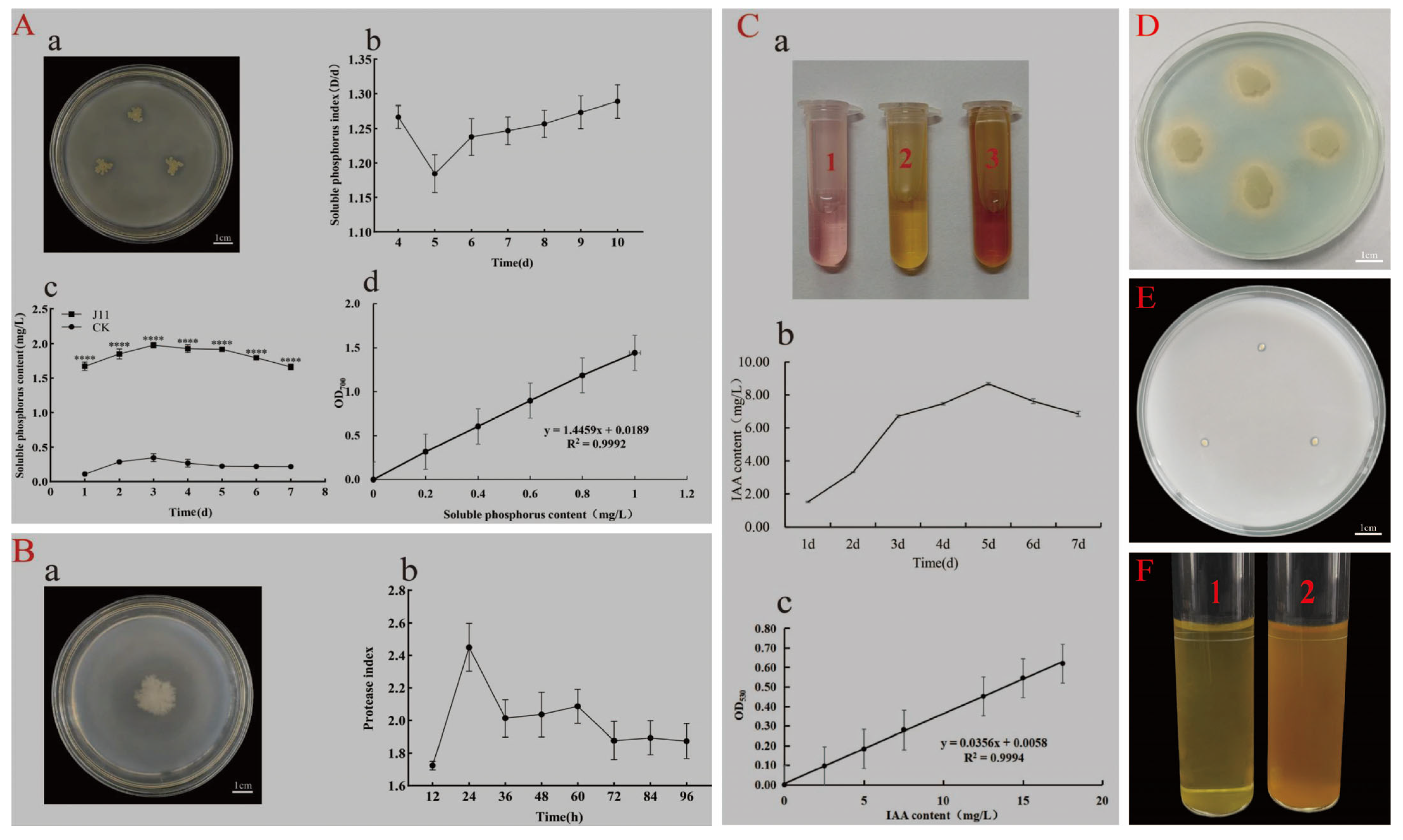 Plants 14 01476 g005