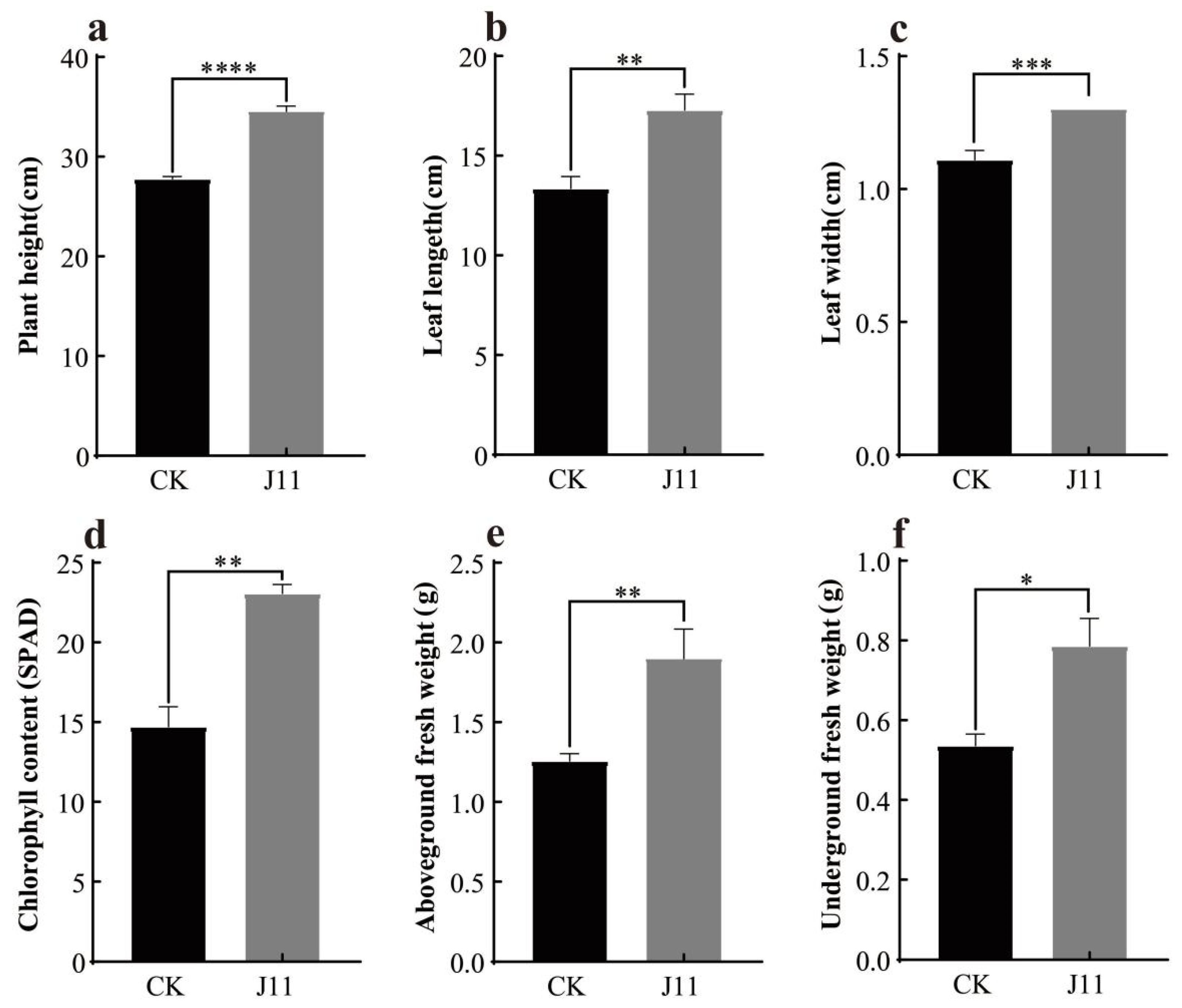 Plants 14 01476 g009