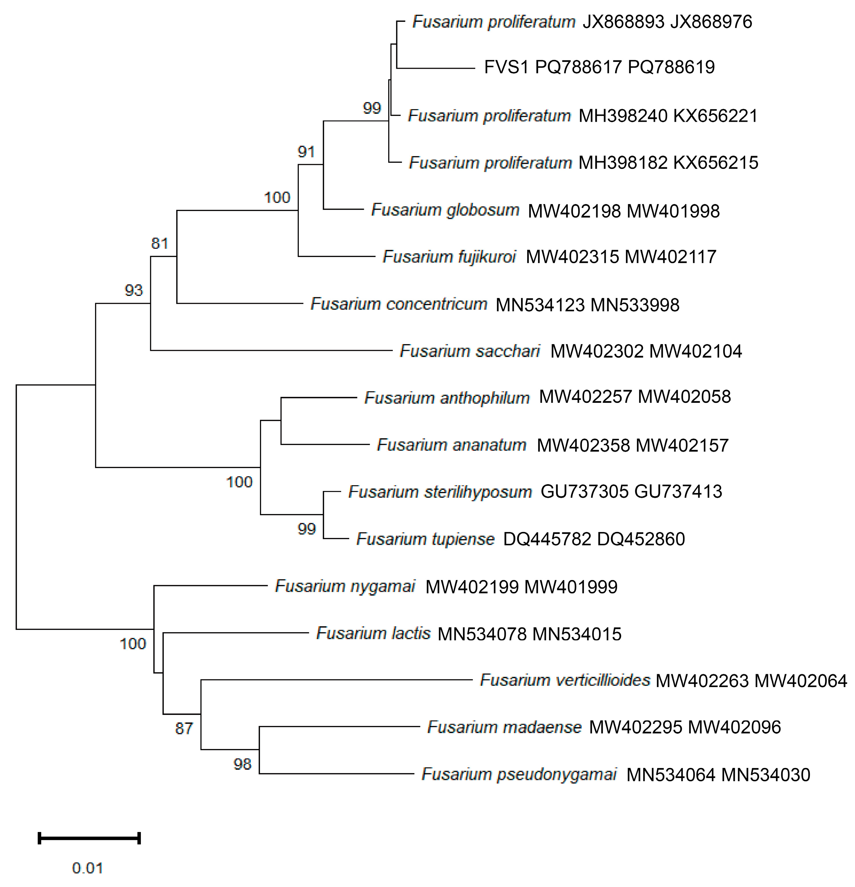 Plants 14 01480 g004