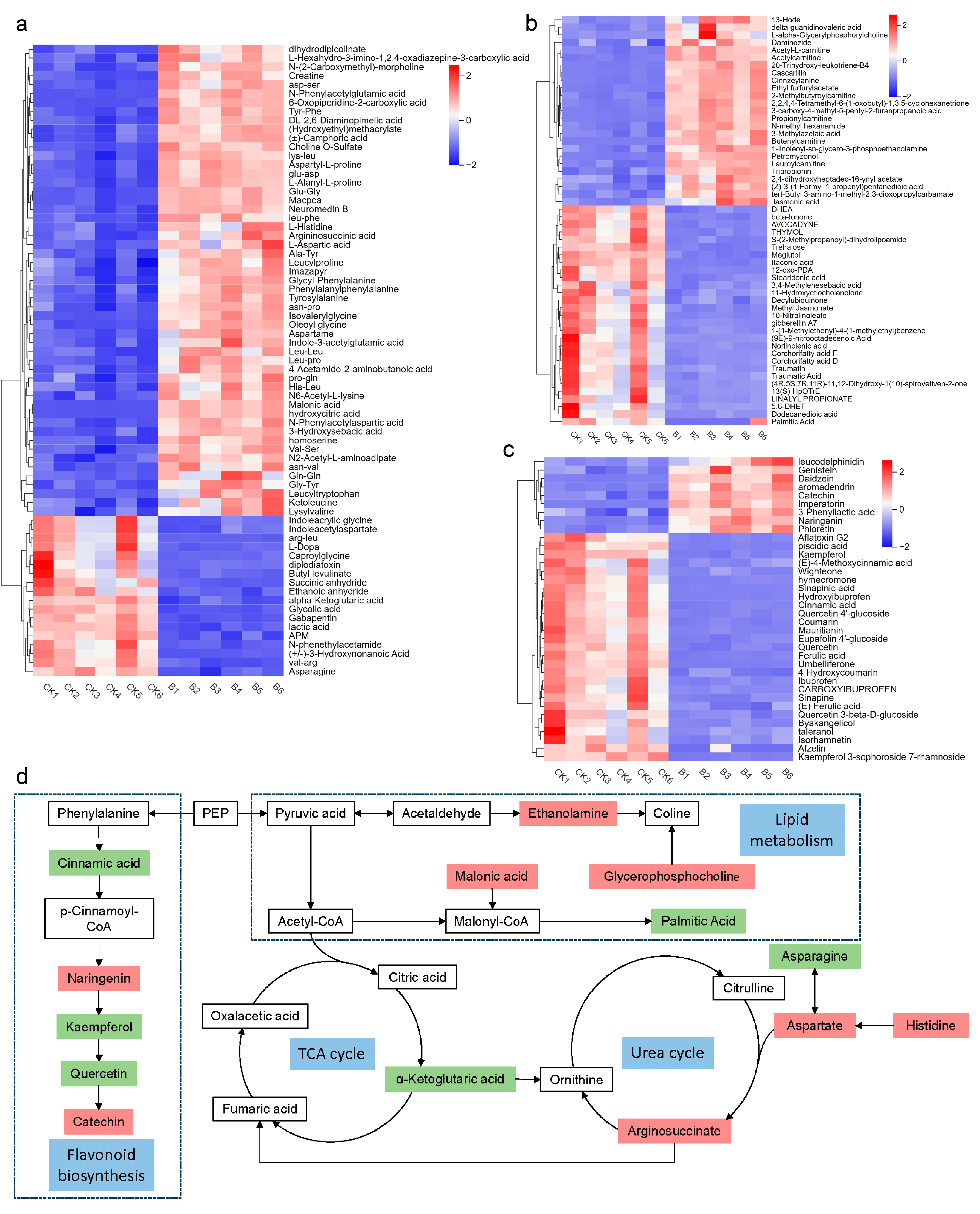 Plants 14 01480 g007