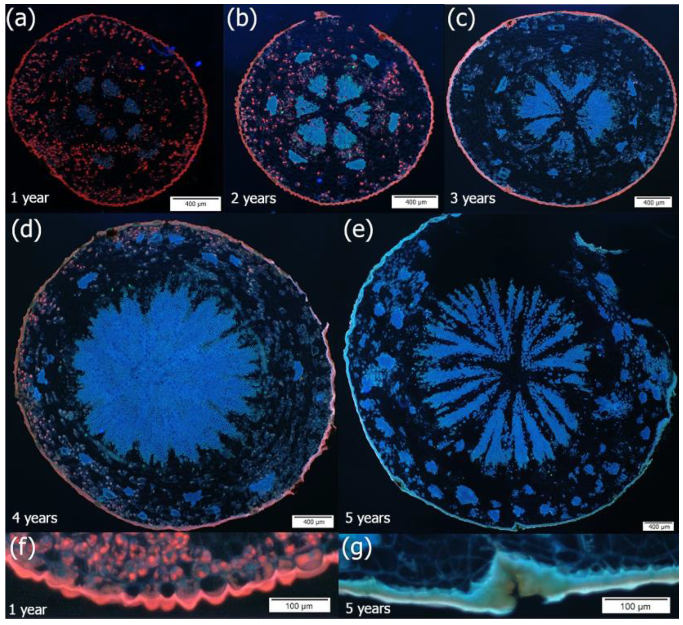 Plants 14 01489 g004
