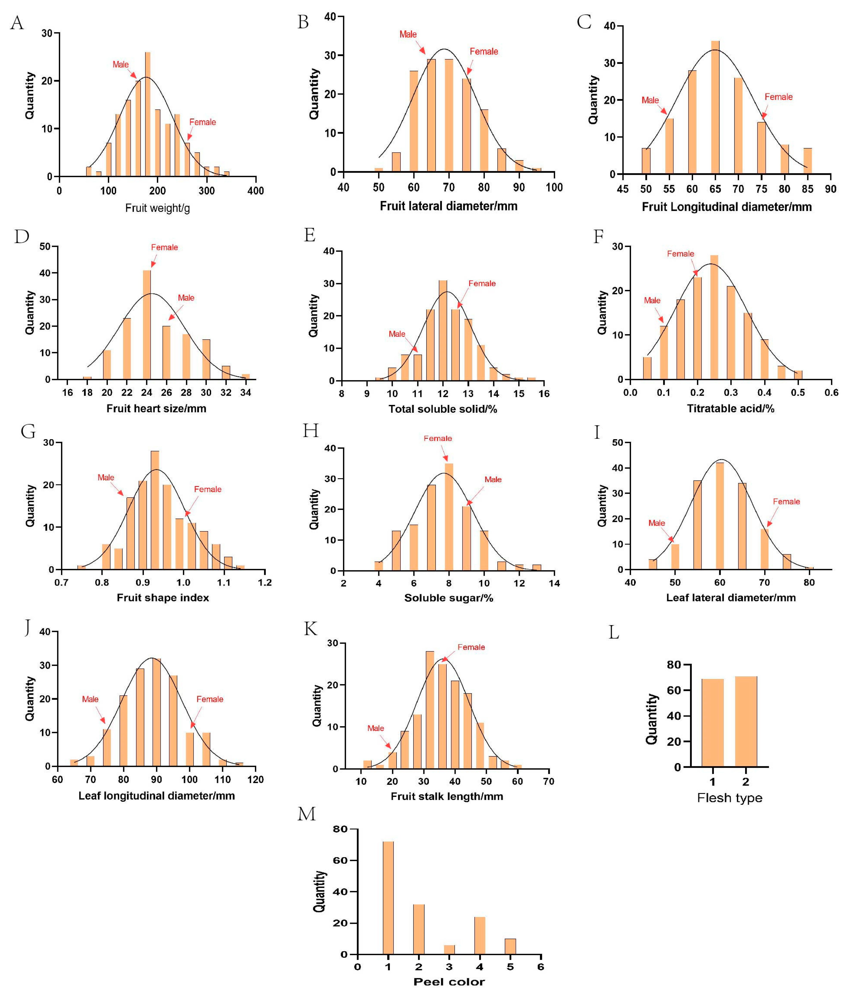 Plants 14 01491 g002