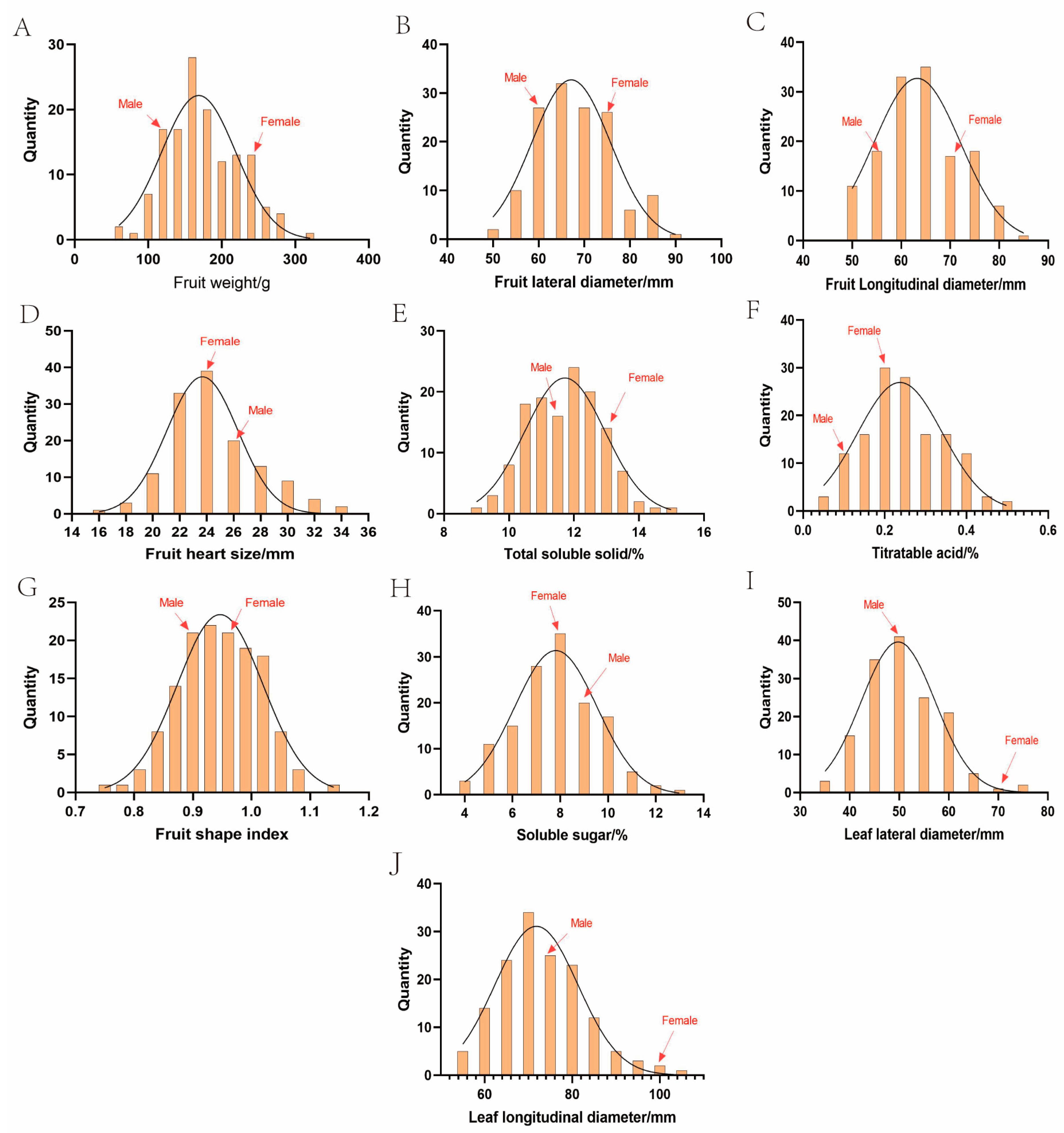 Plants 14 01491 g004
