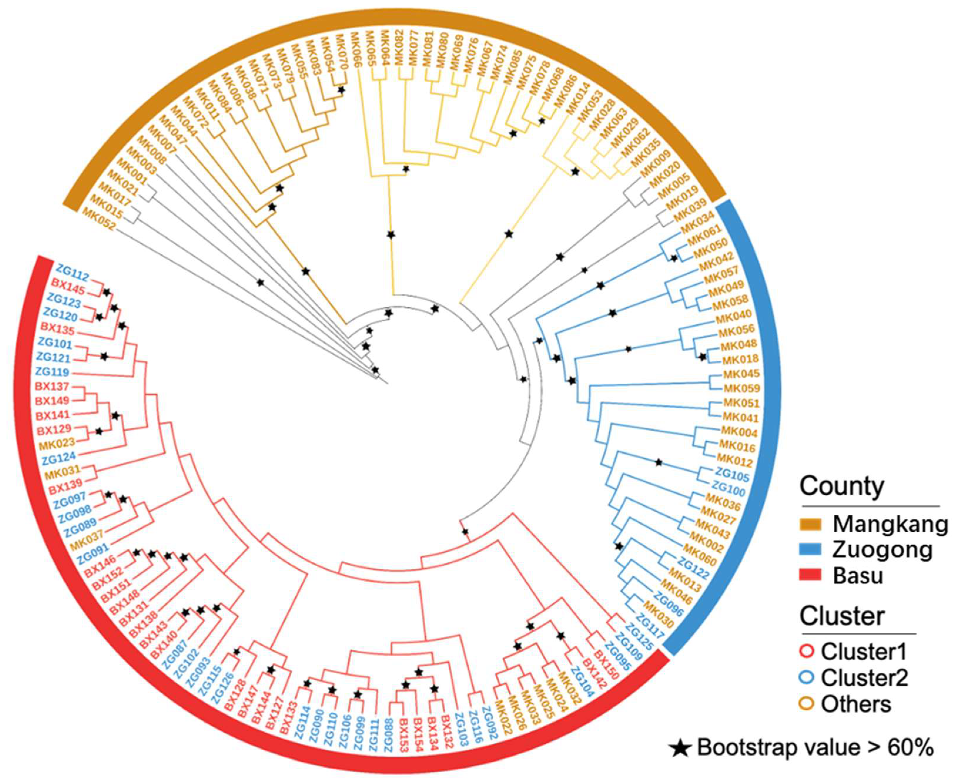 Plants 14 01493 g003