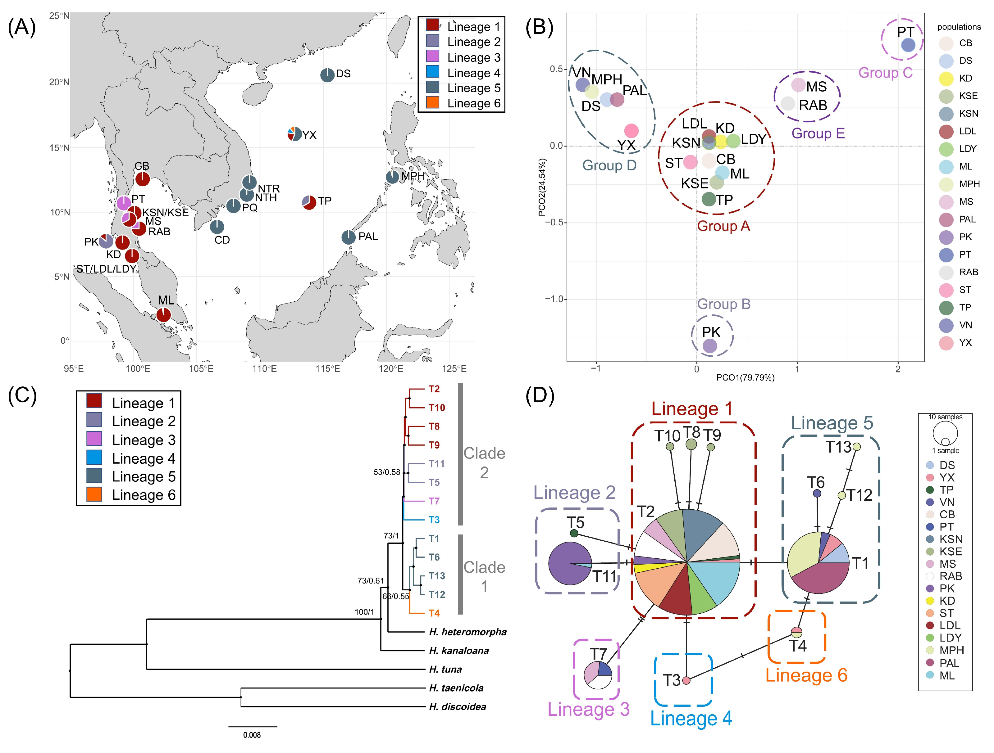 Genetic Diversity and Connectivity of Reef-Building Halimeda