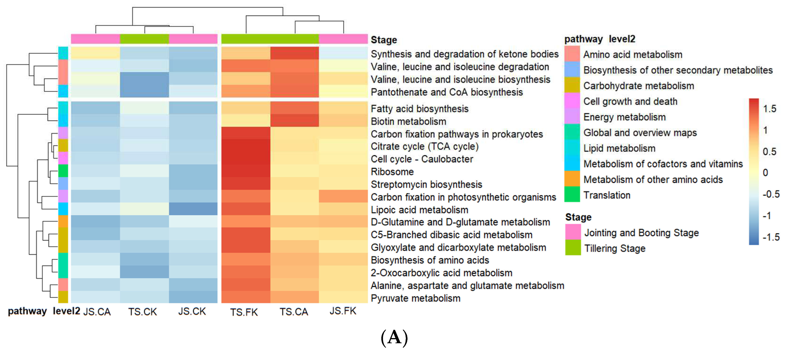 Plants 14 01498 g006a