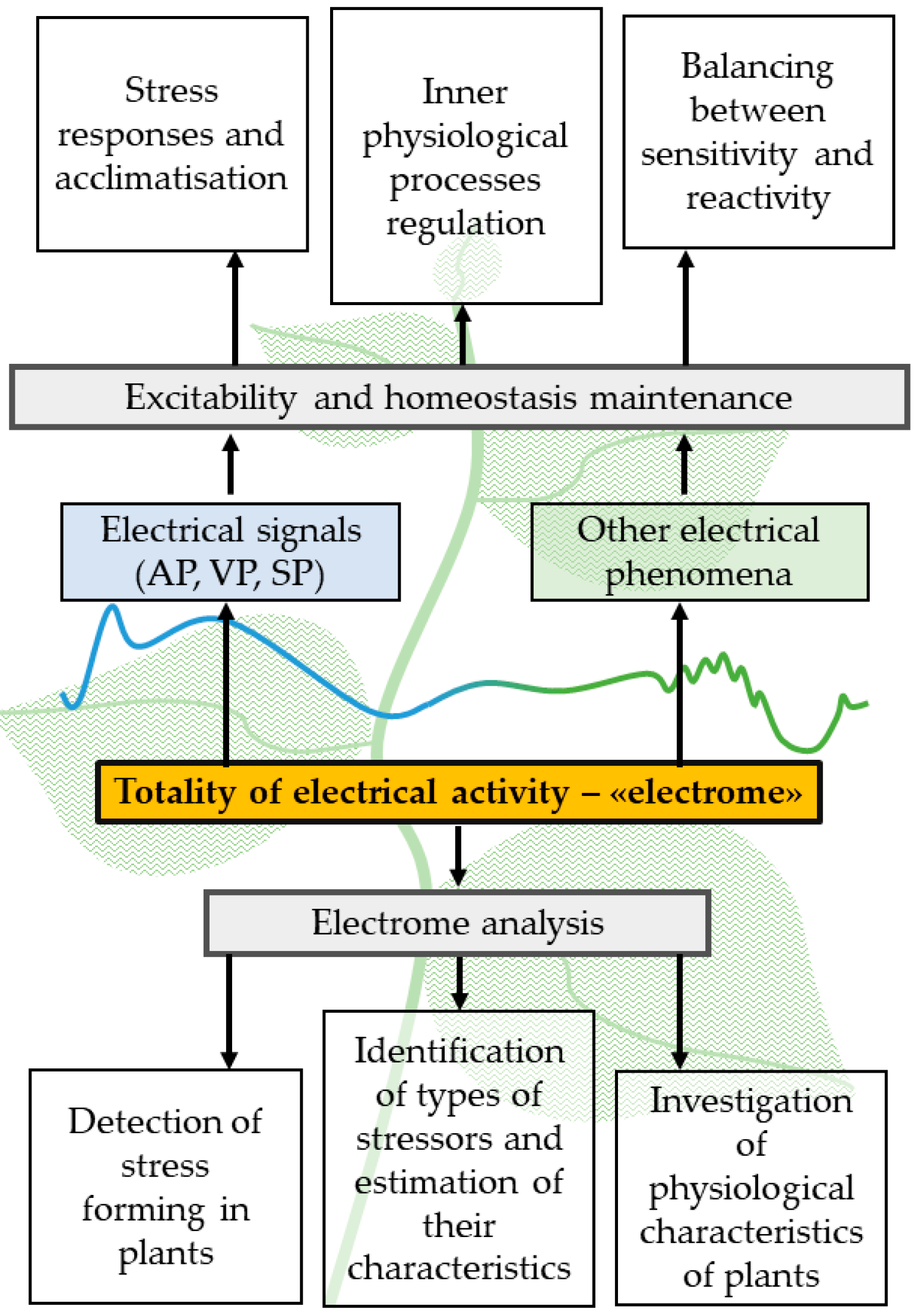 Plants 14 01500 g002