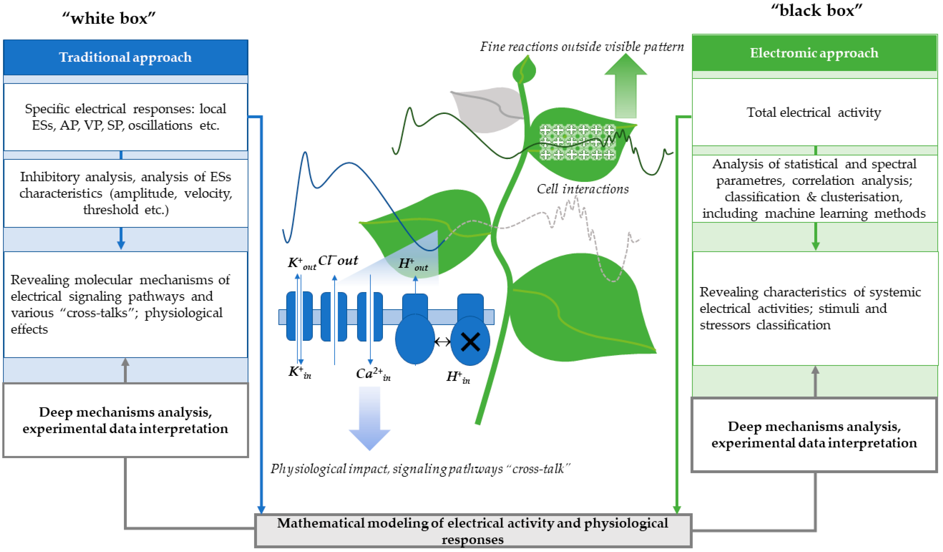 Plants 14 01500 g003