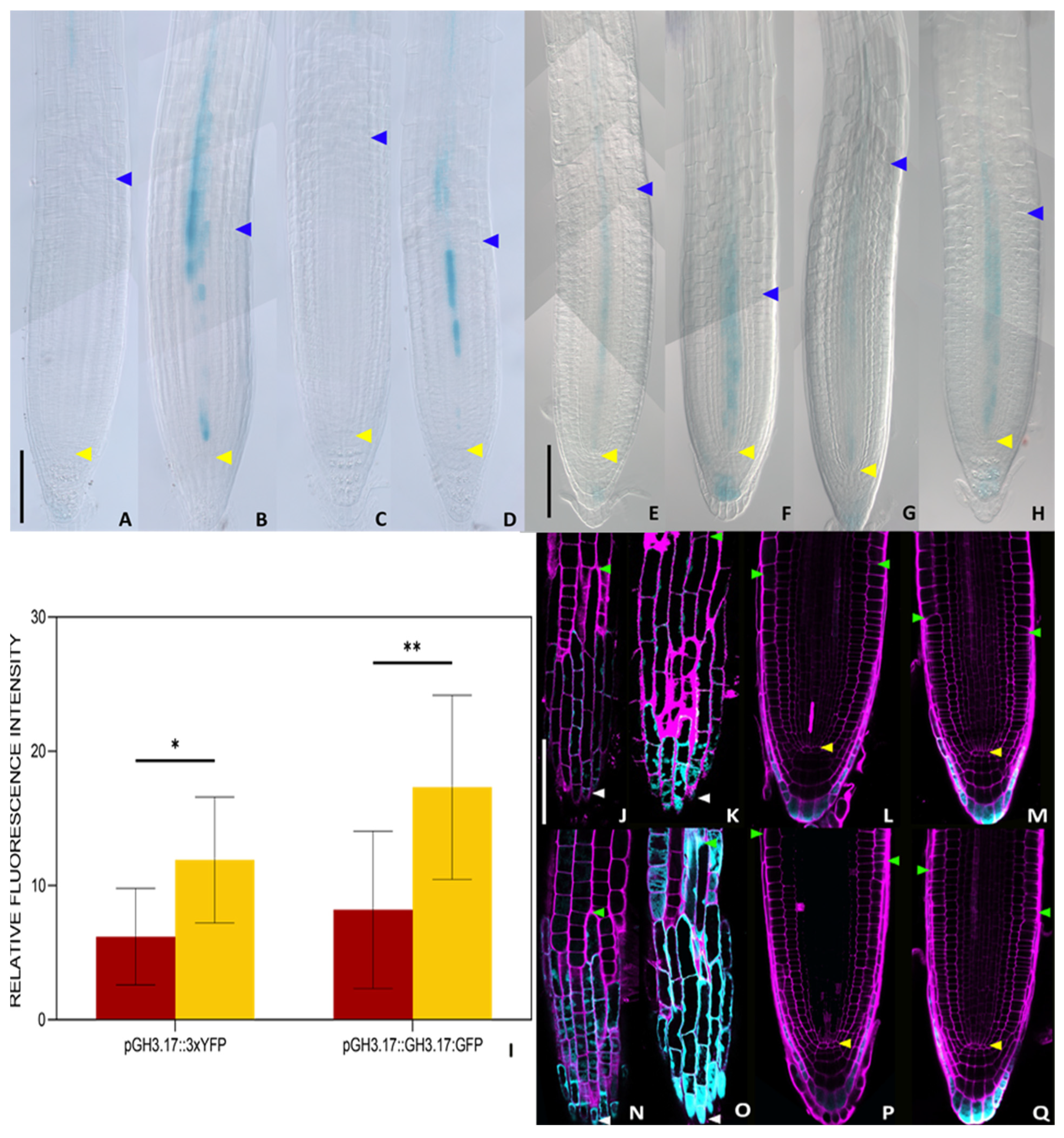 Plants 14 01501 g003