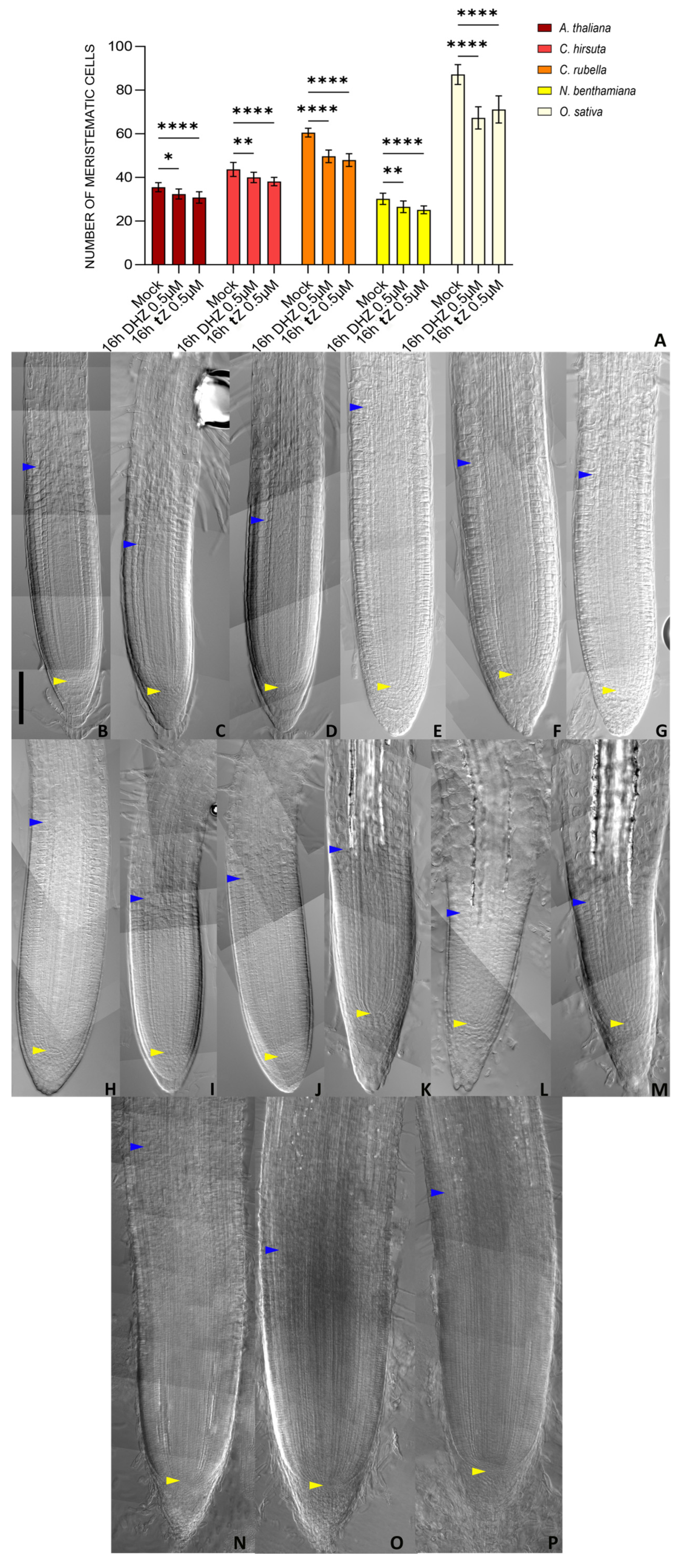 Plants 14 01501 g009