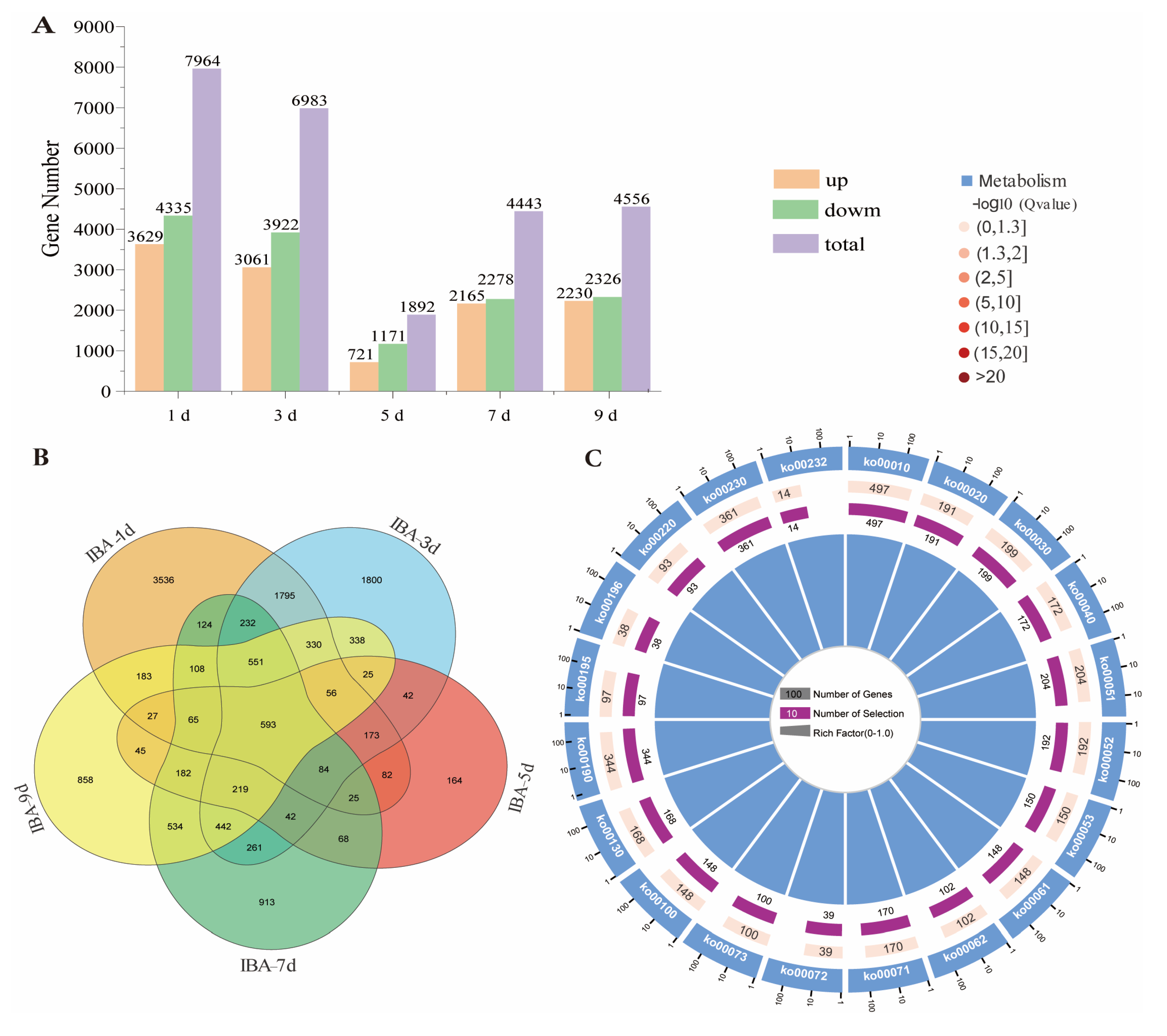 Plants 14 01502 g003