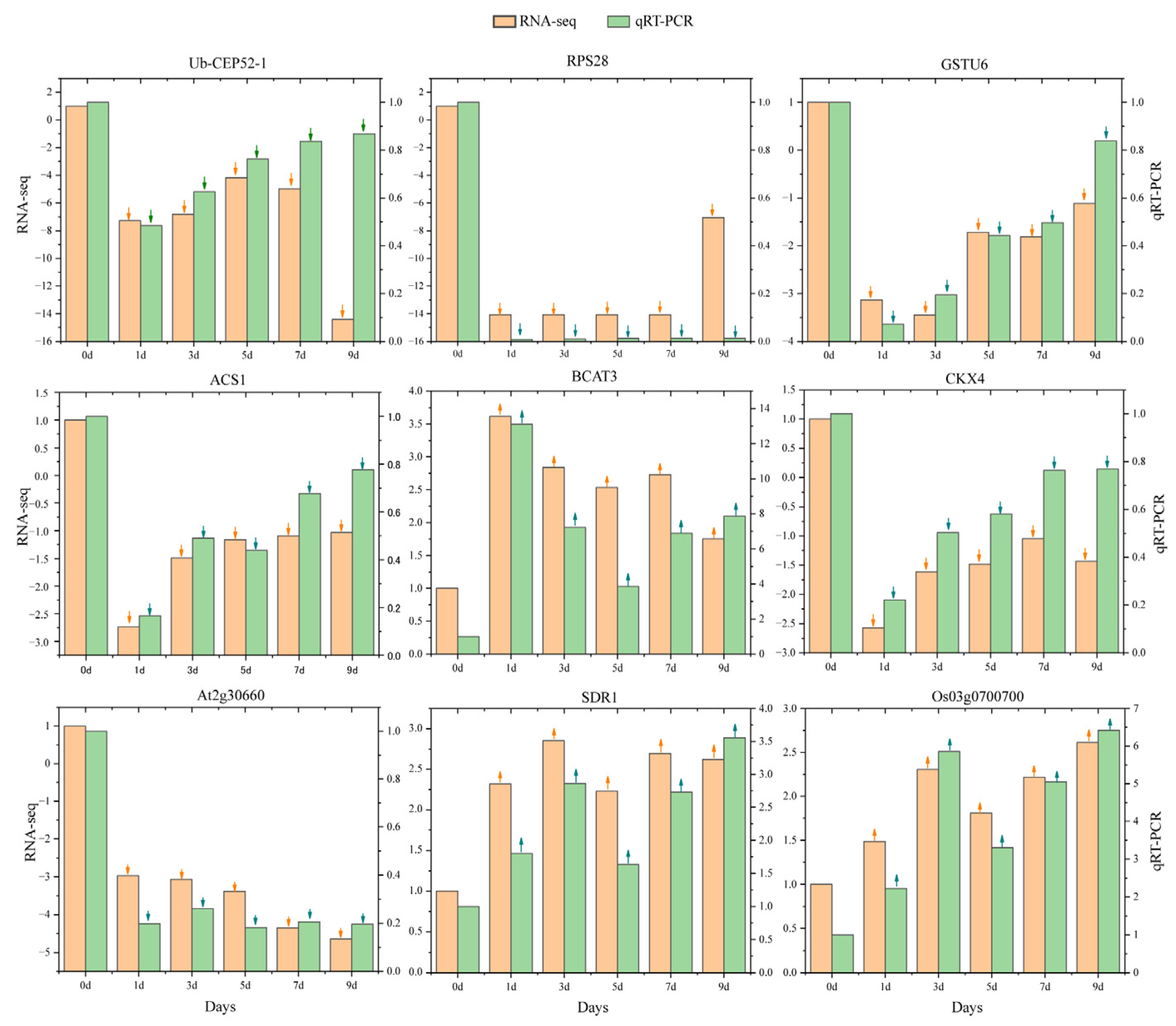 Plants 14 01502 g006