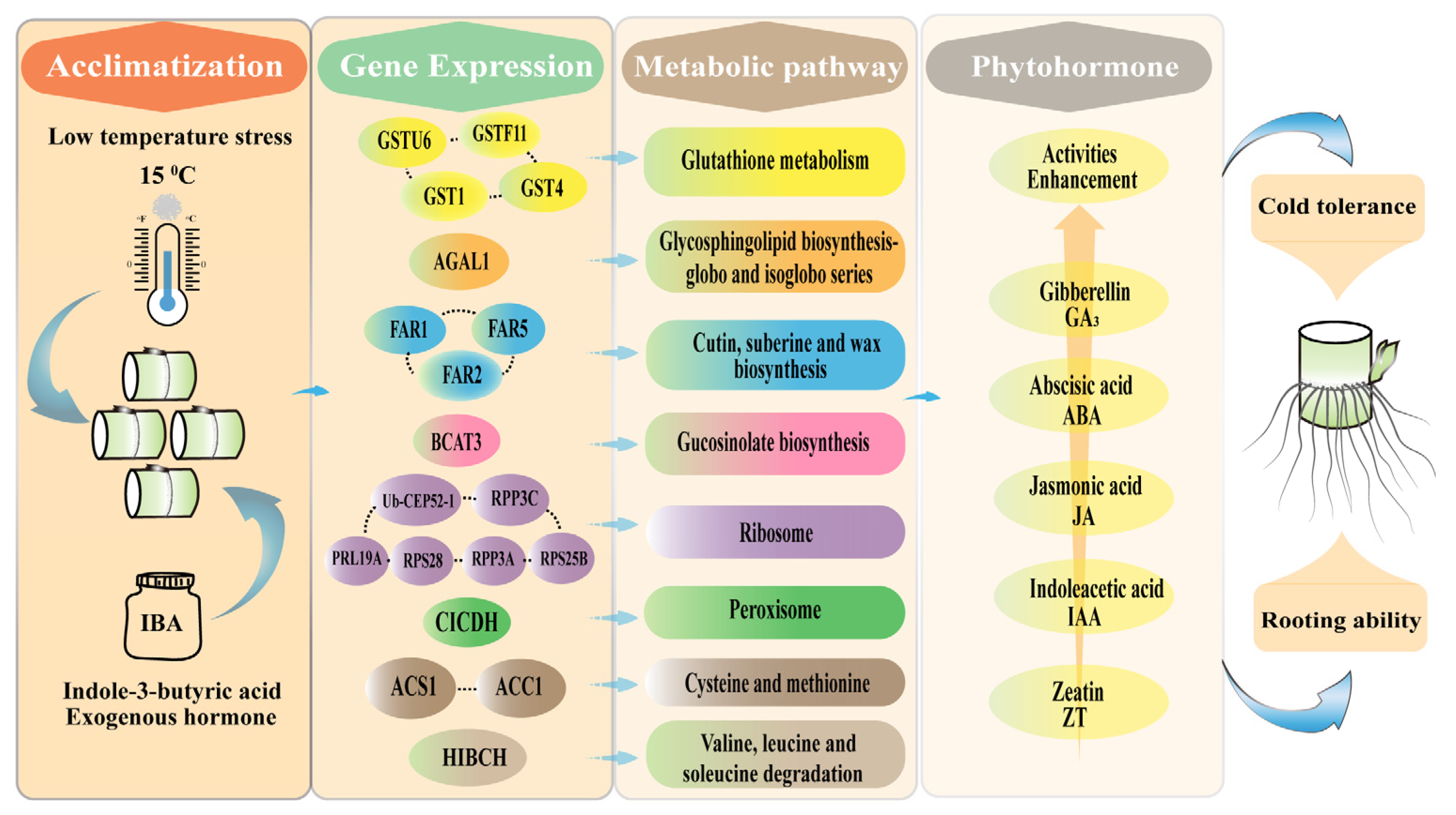 Plants 14 01502 g007