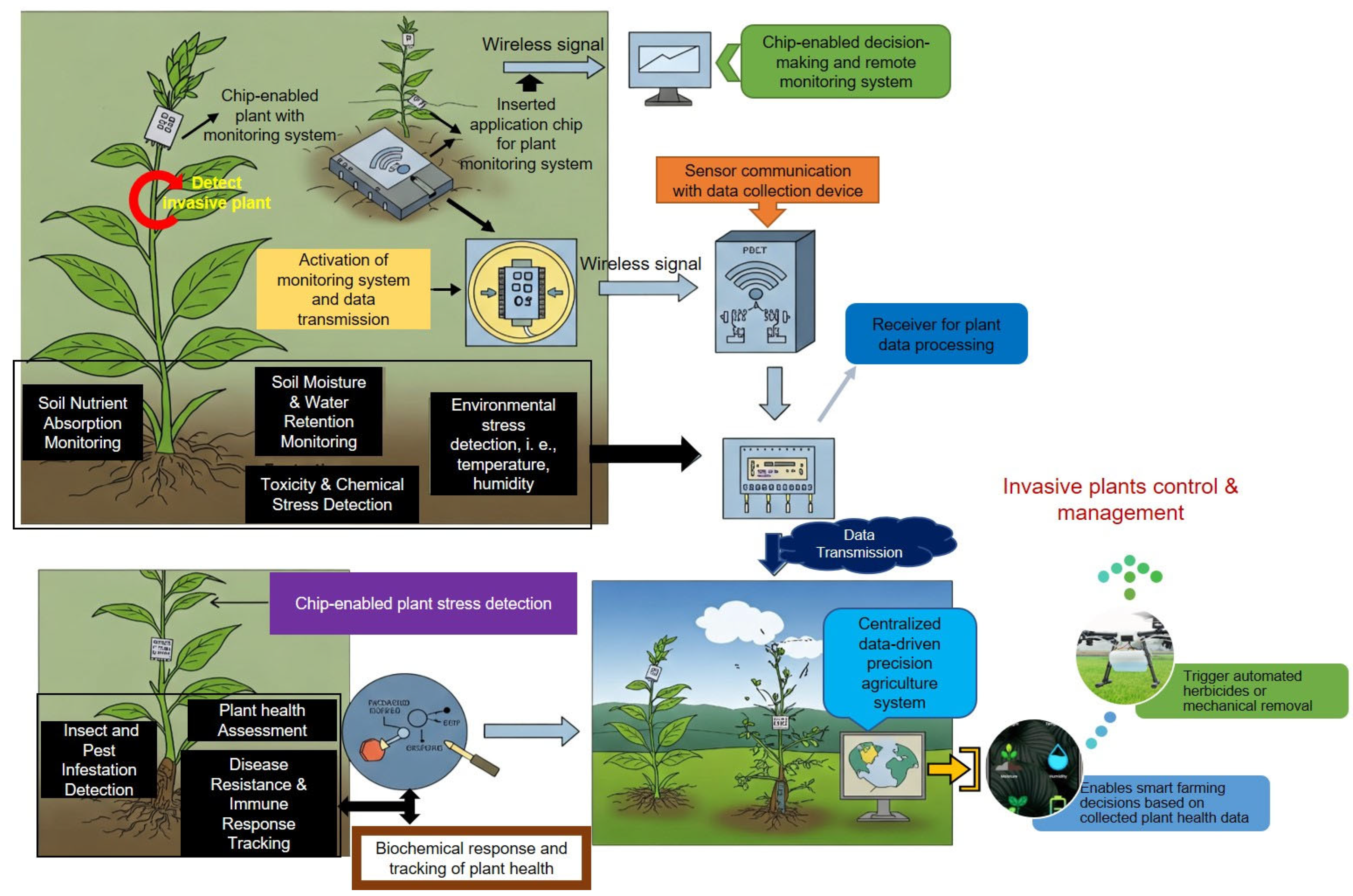 Plants 14 01510 g002