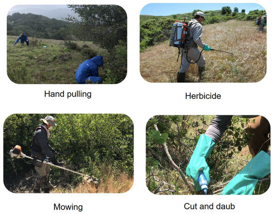 Smart Chip Technology for the Control and Management of Invasive Plant  Species: A Review