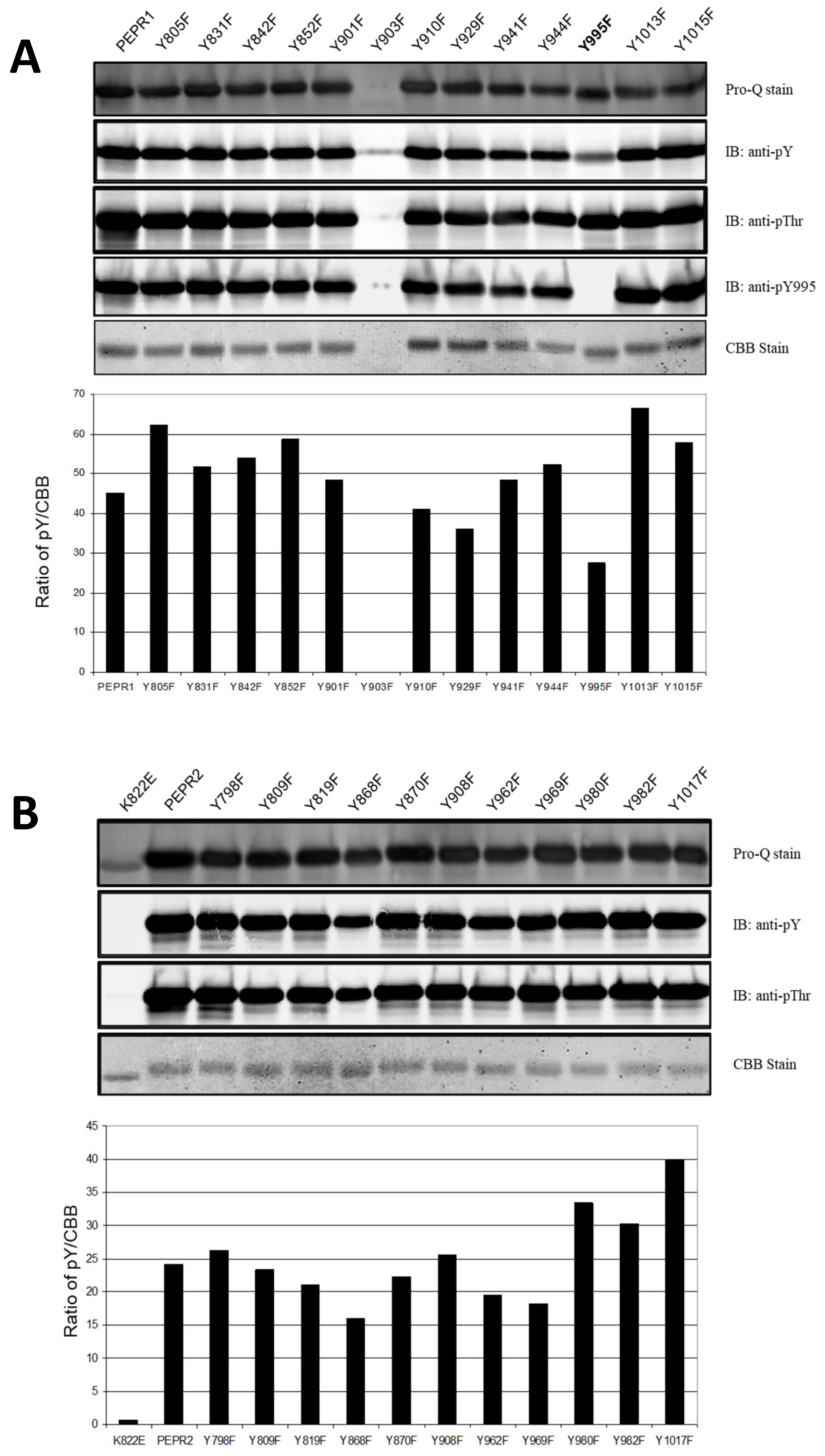 Plants 14 01515 g001