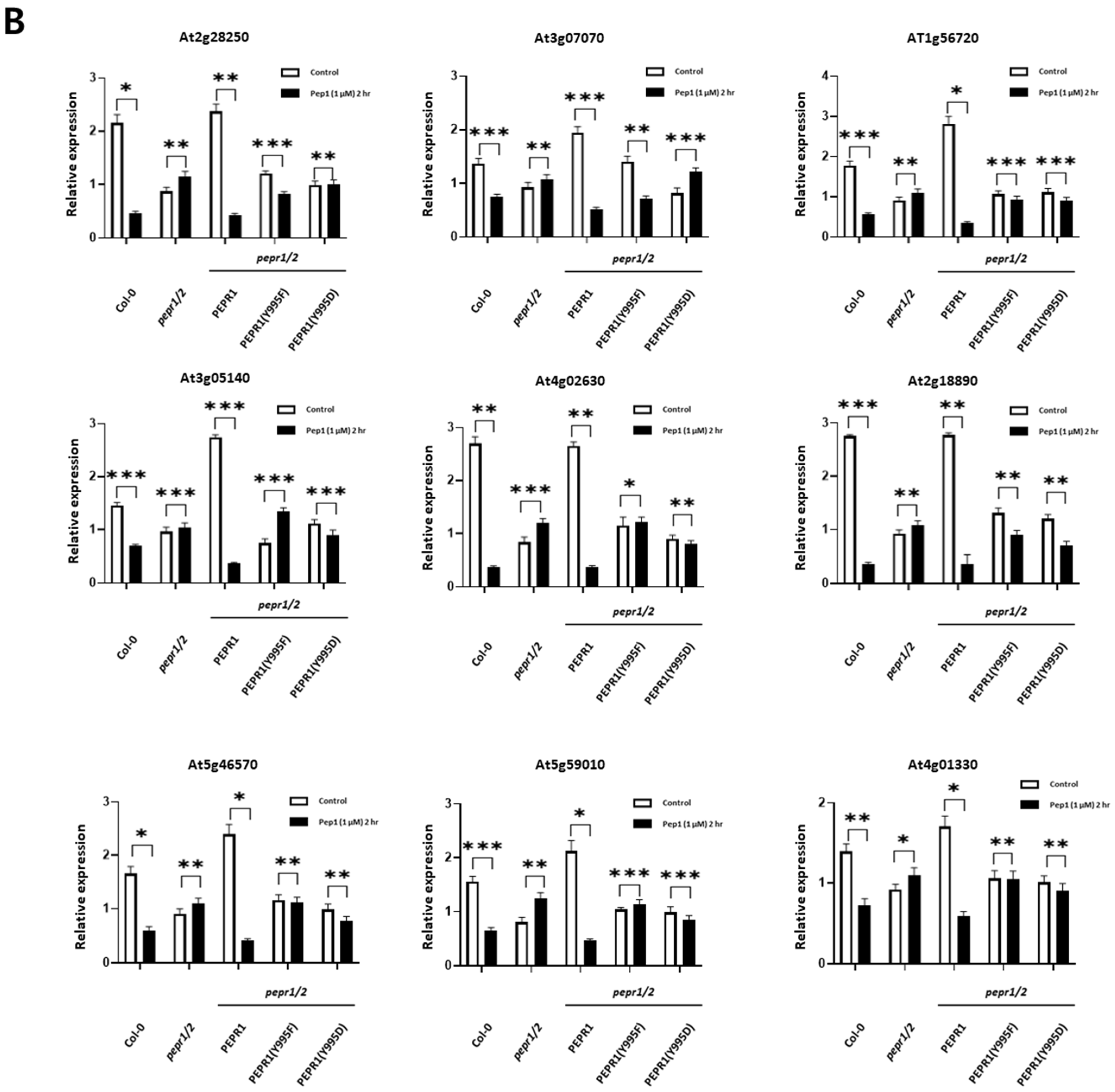 Plants 14 01515 g004b