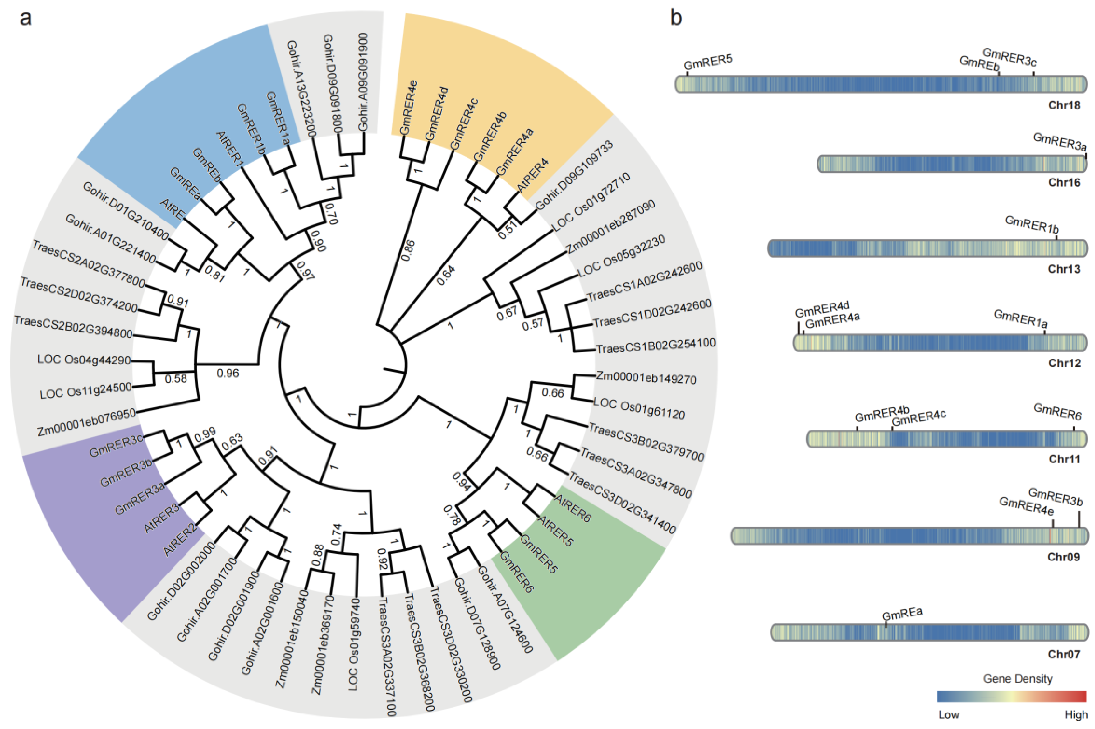 Plants 14 01516 g001