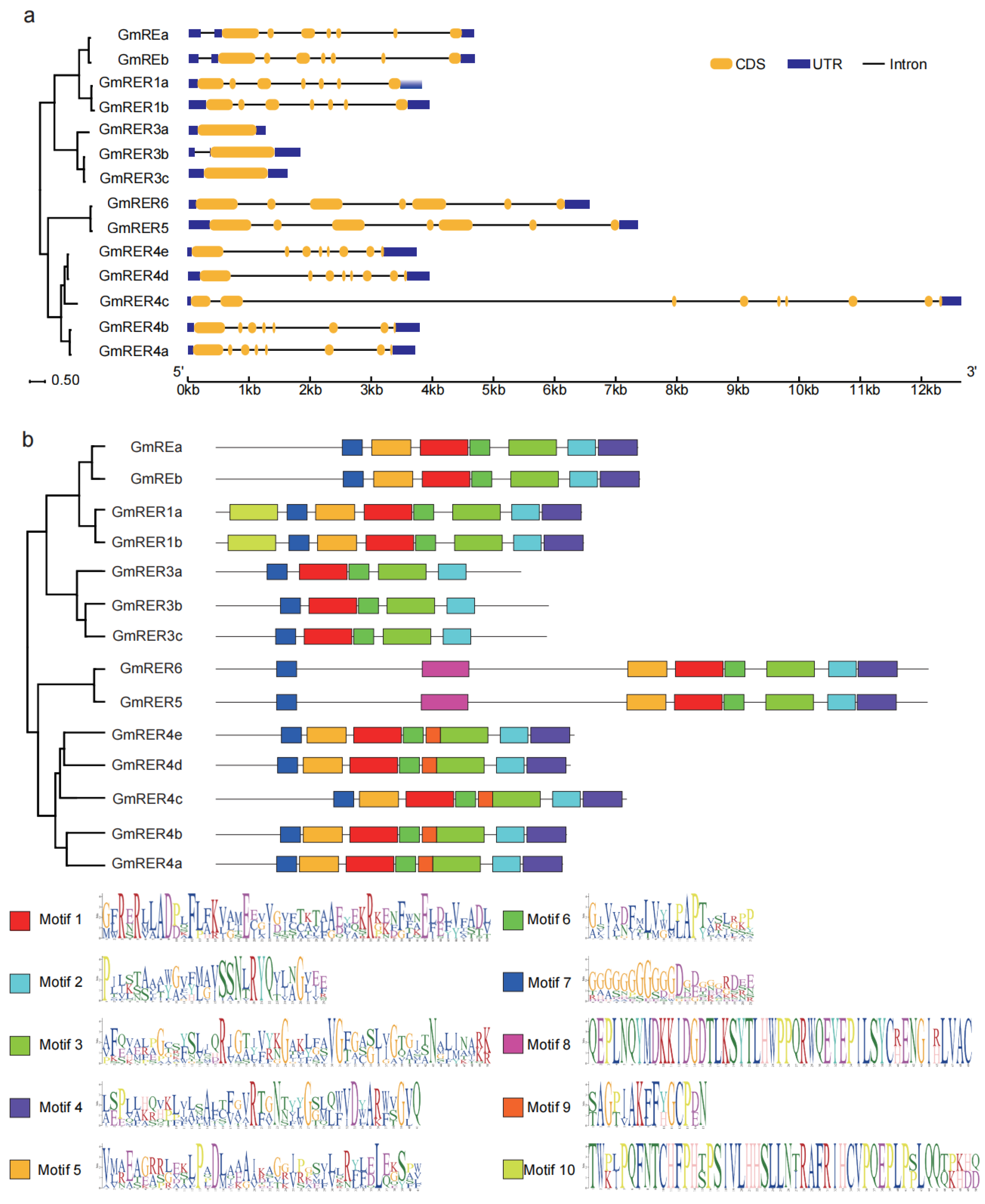 Plants 14 01516 g002