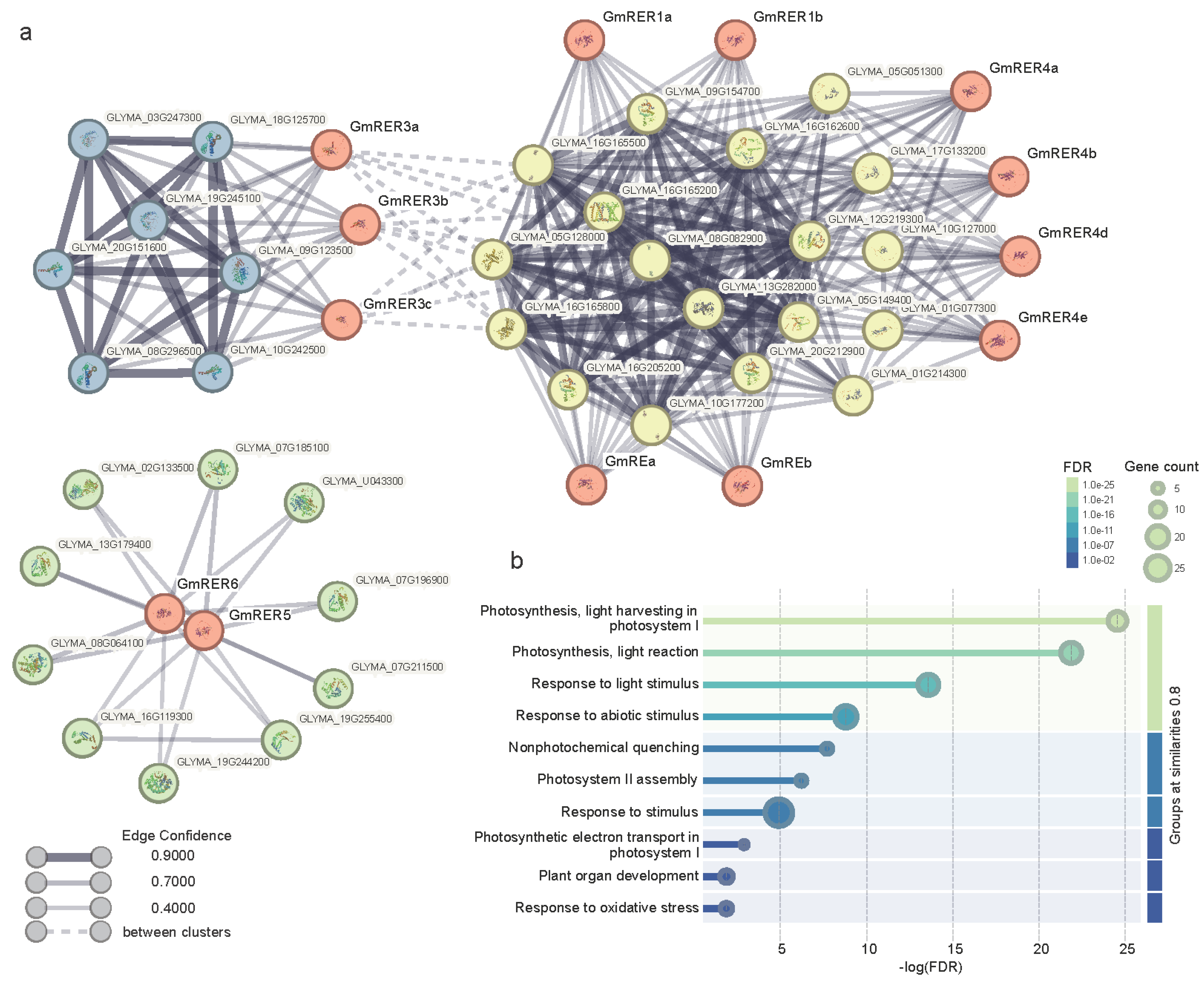 Plants 14 01516 g004