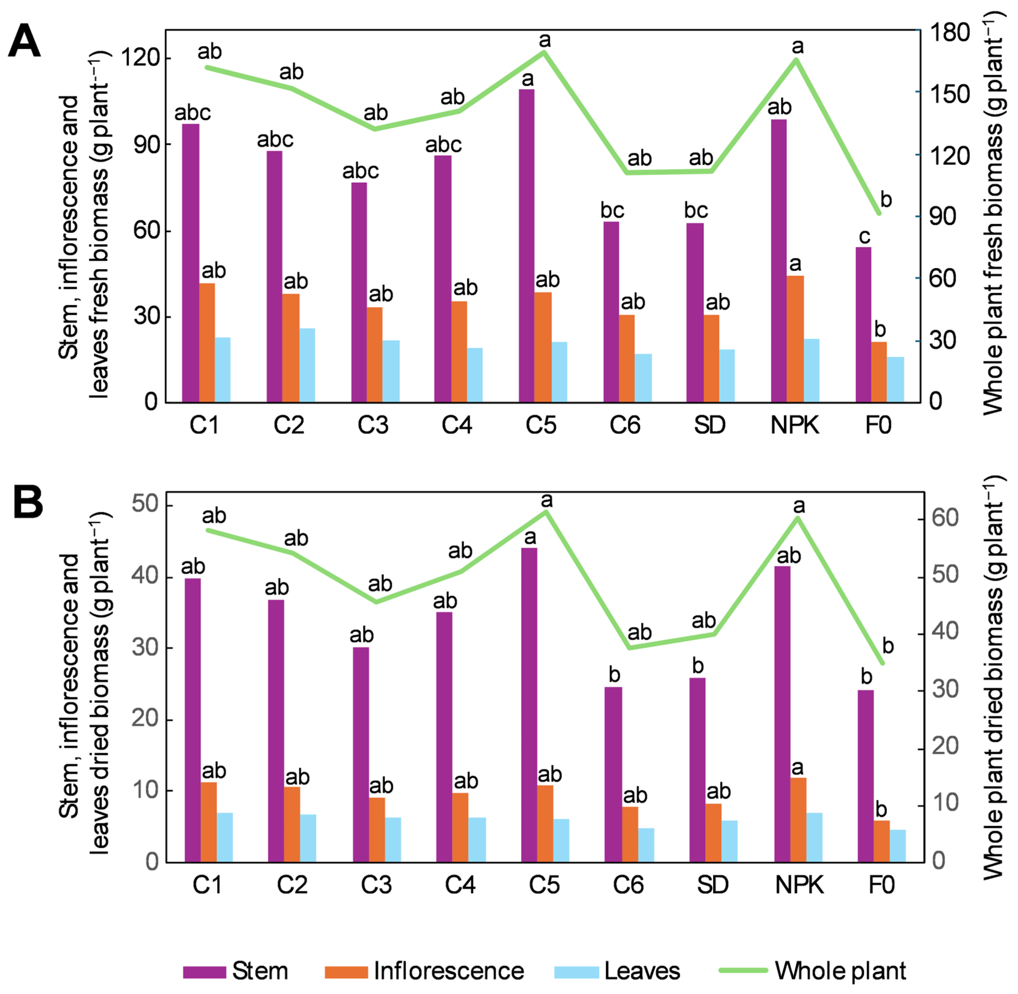 Plants 14 01519 g001
