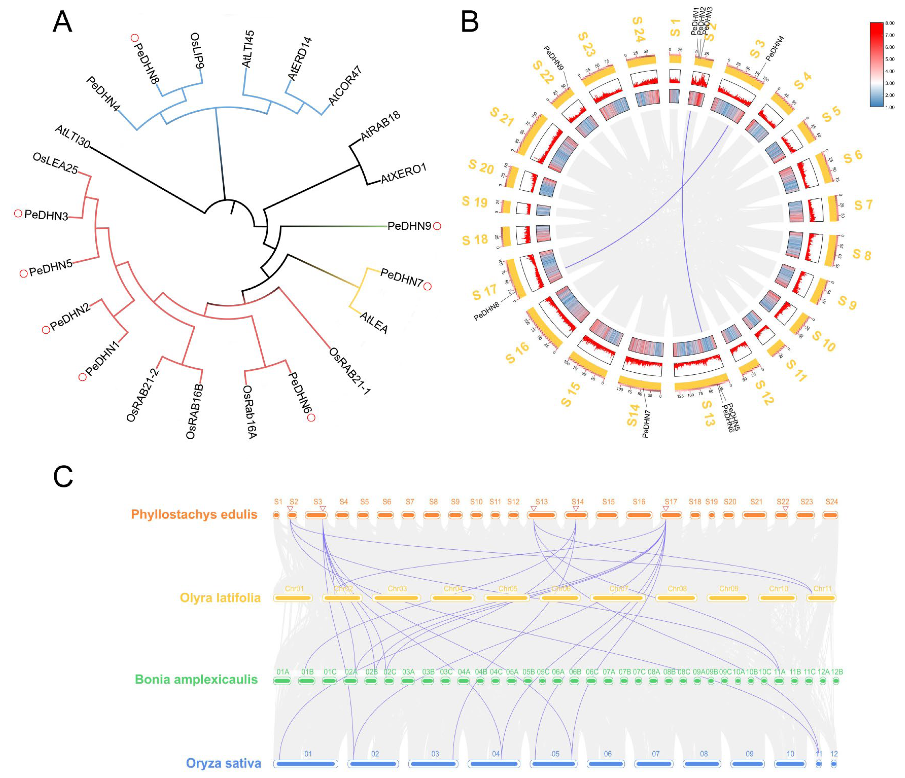 Plants 14 01520 g002