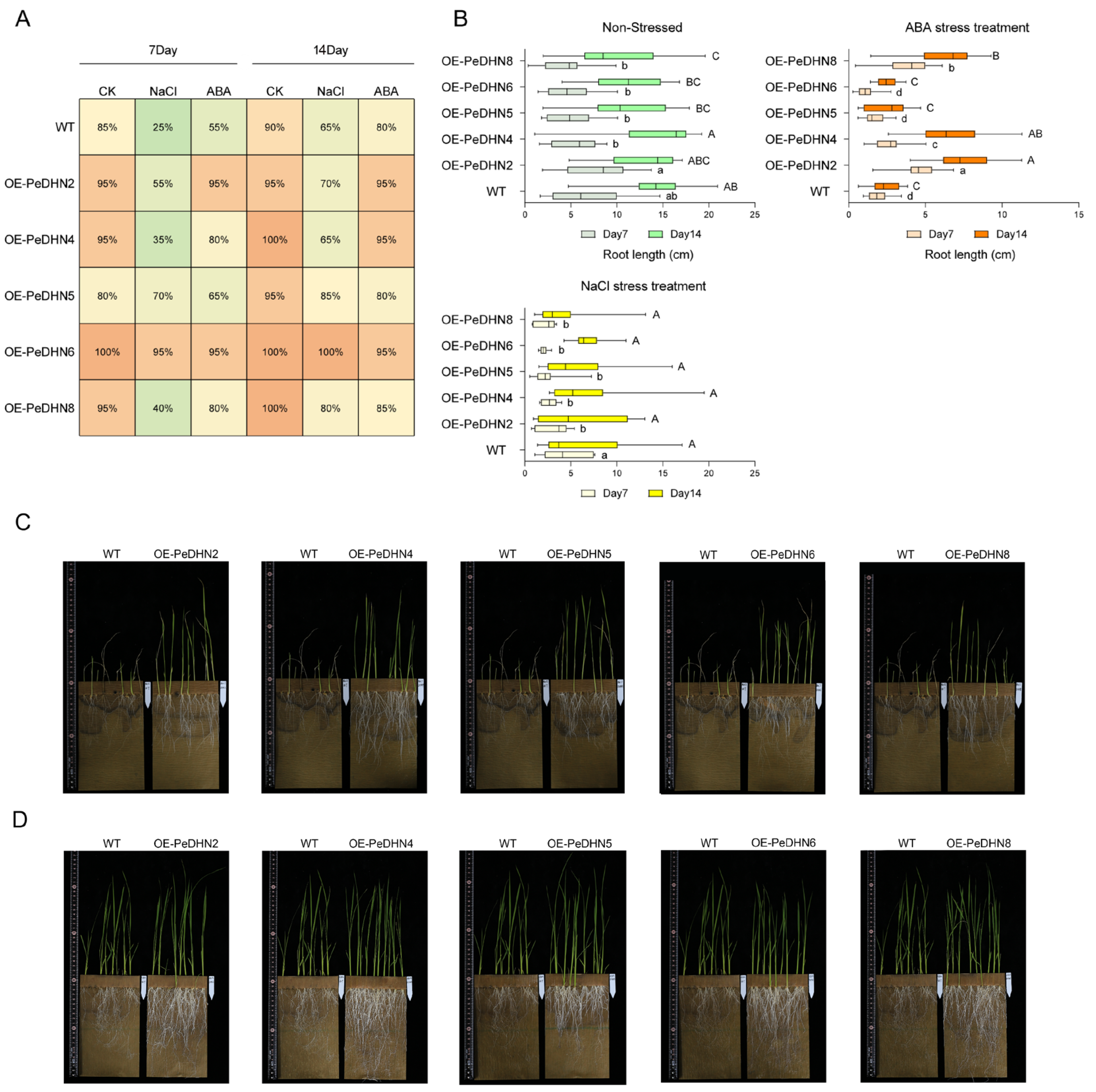 Plants 14 01520 g006