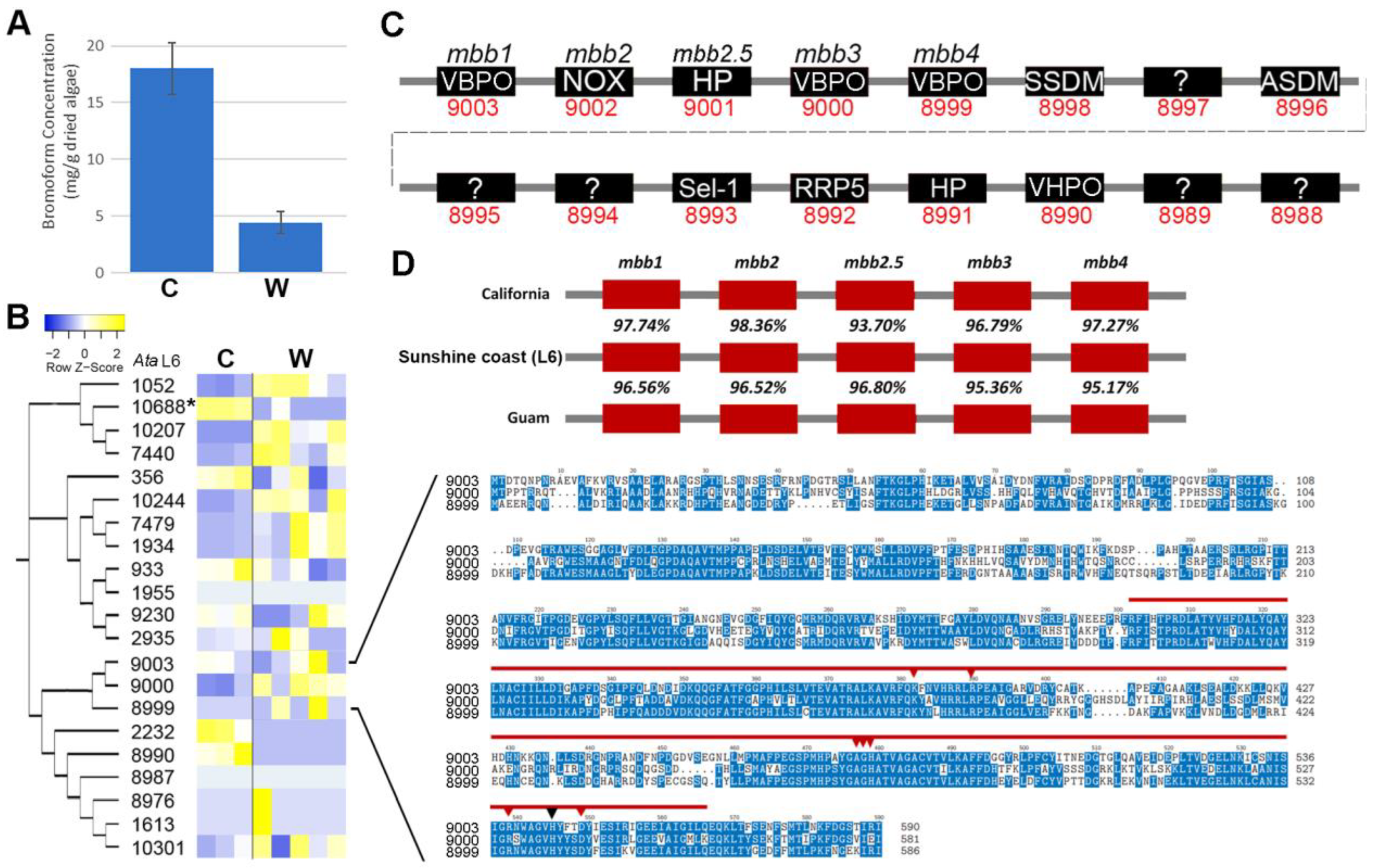 Plants 14 01523 g004