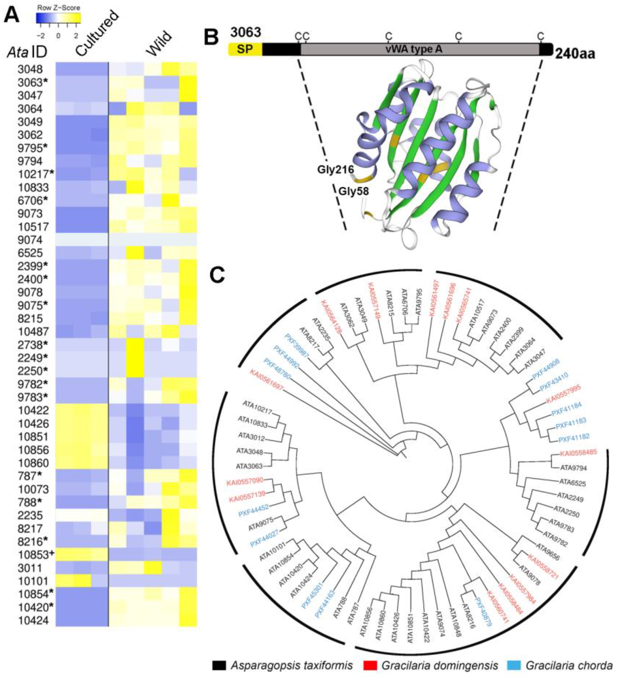Plants 14 01523 g005